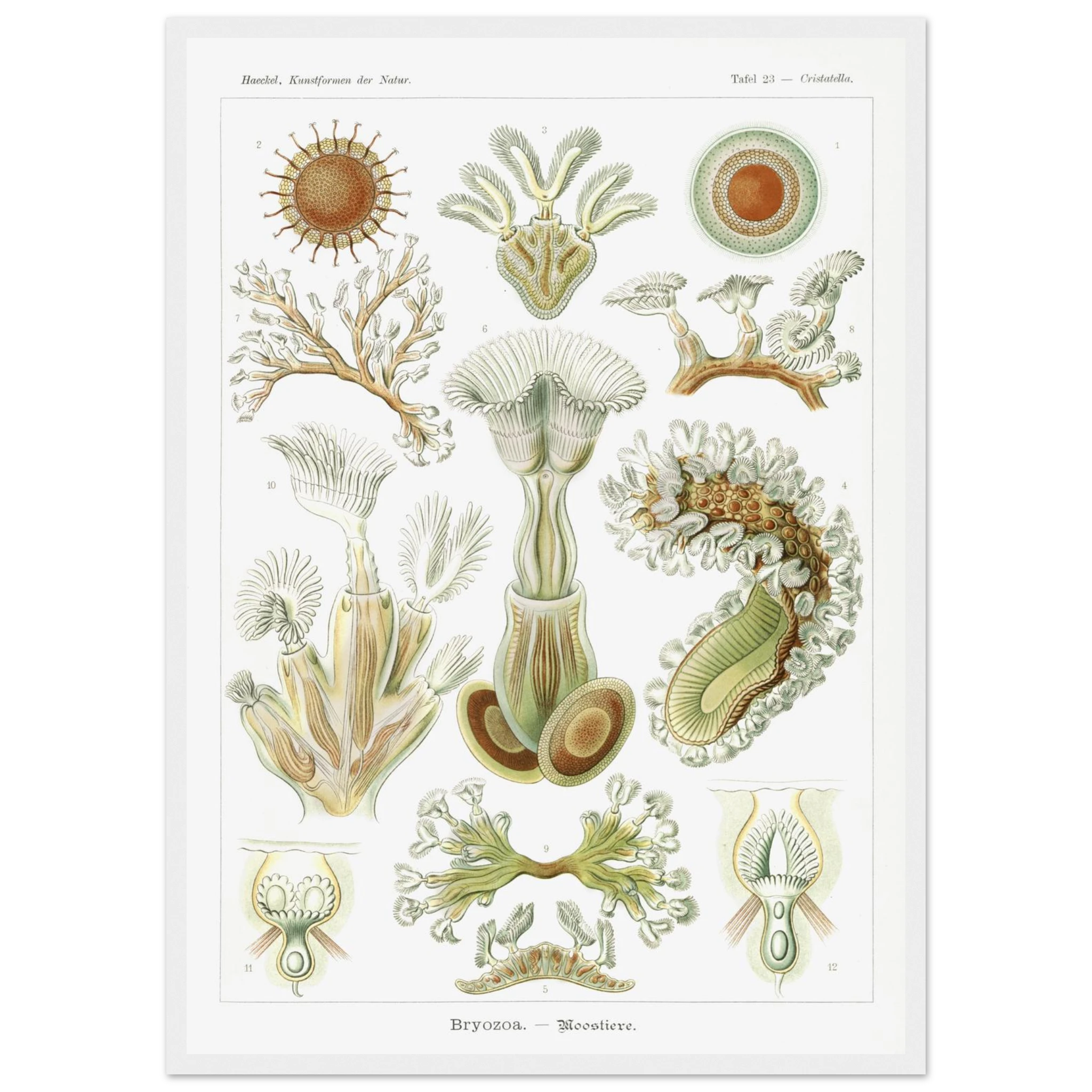 8464c825-cd13-4072-8352-63c016604483