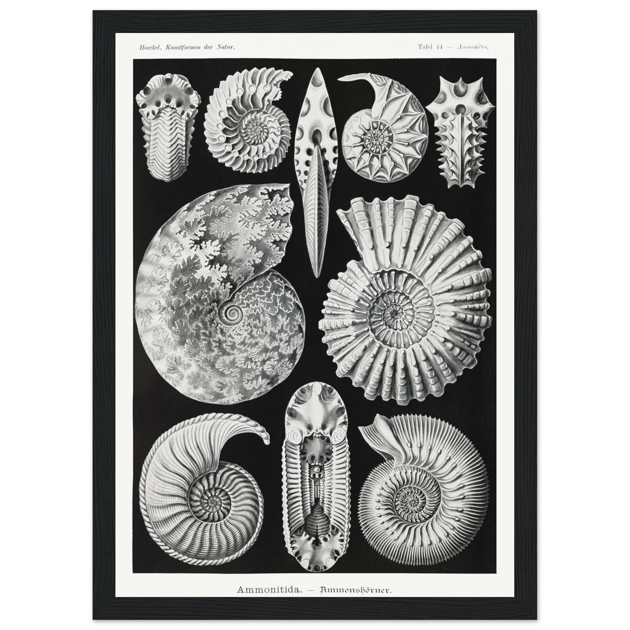 846ac629-bd3a-424b-987f-757647629821