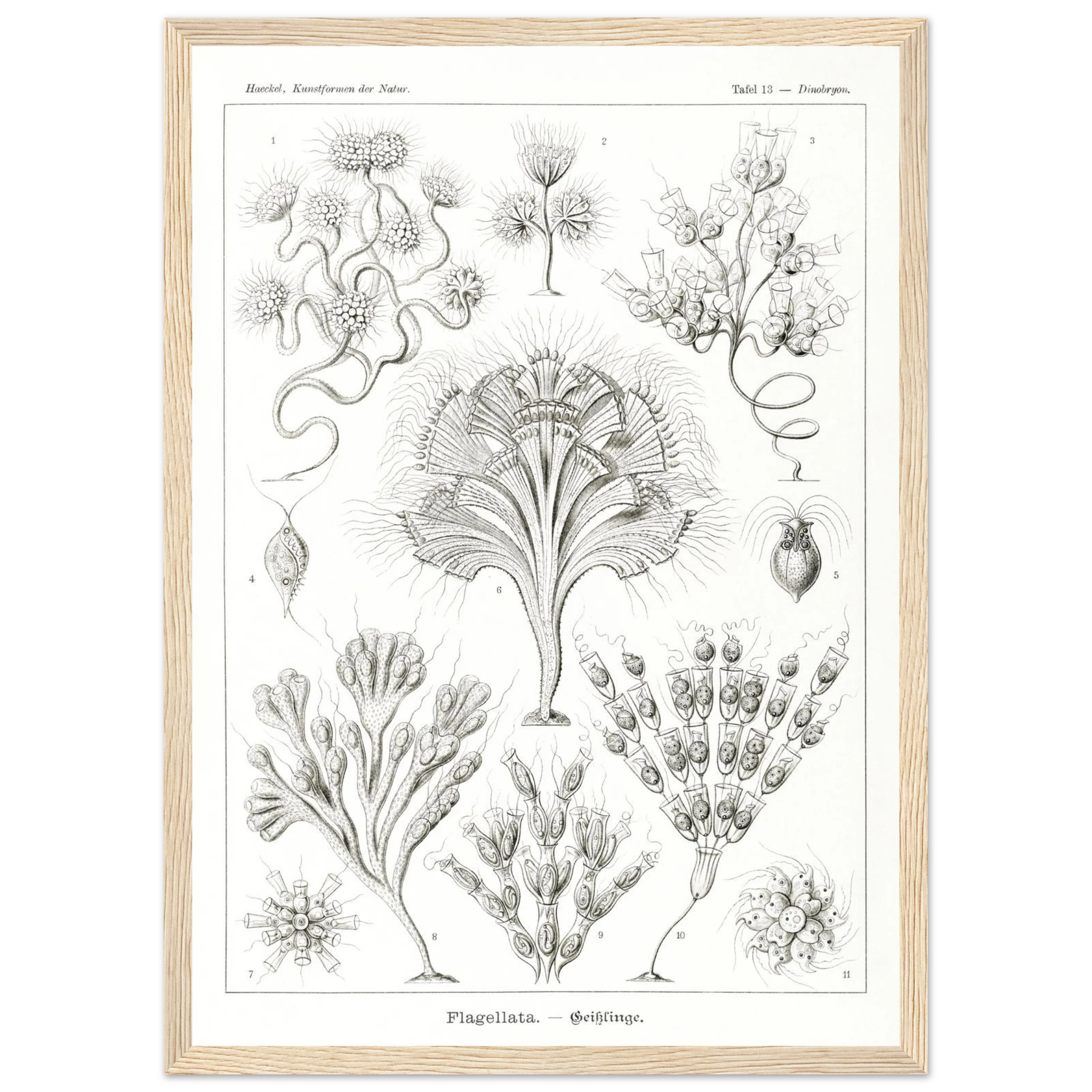 847eb67f-cca0-4435-8d3a-5fd165cbe510