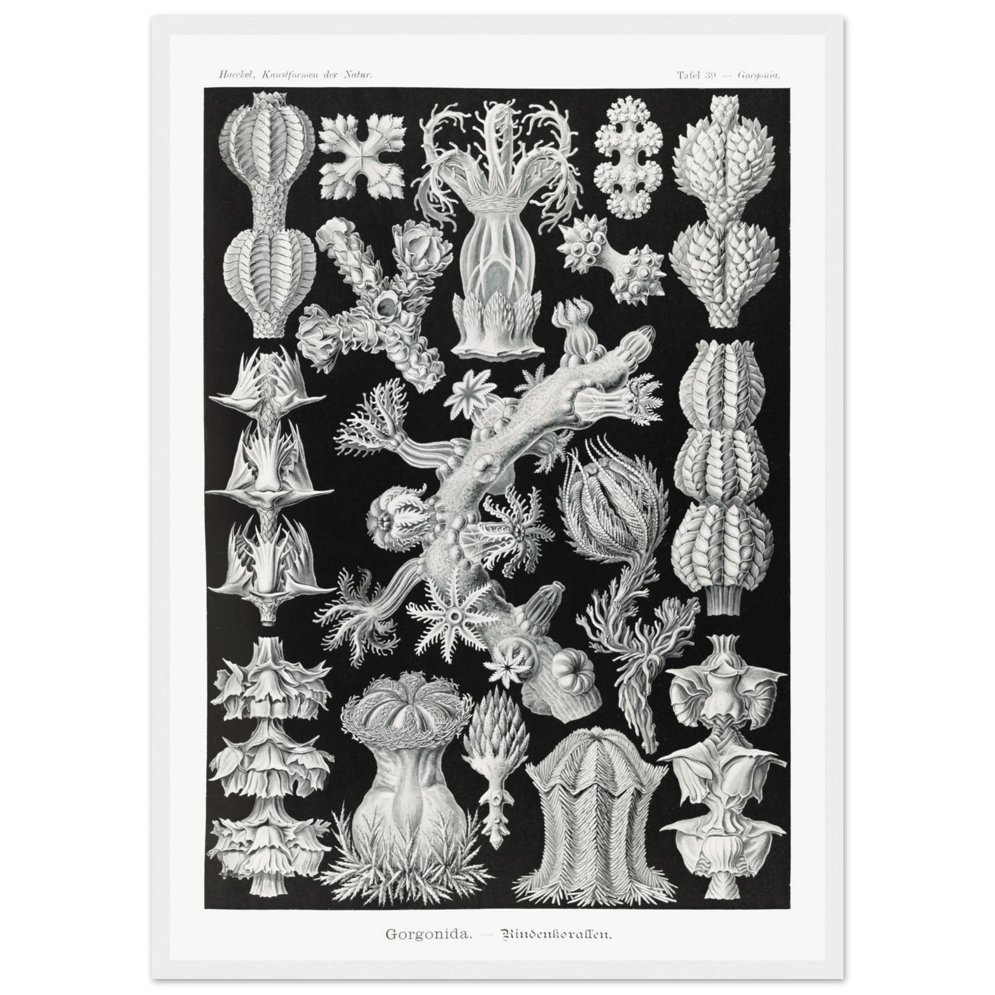 848ccb3e-4c8e-4d68-a33f-260cc08f4599