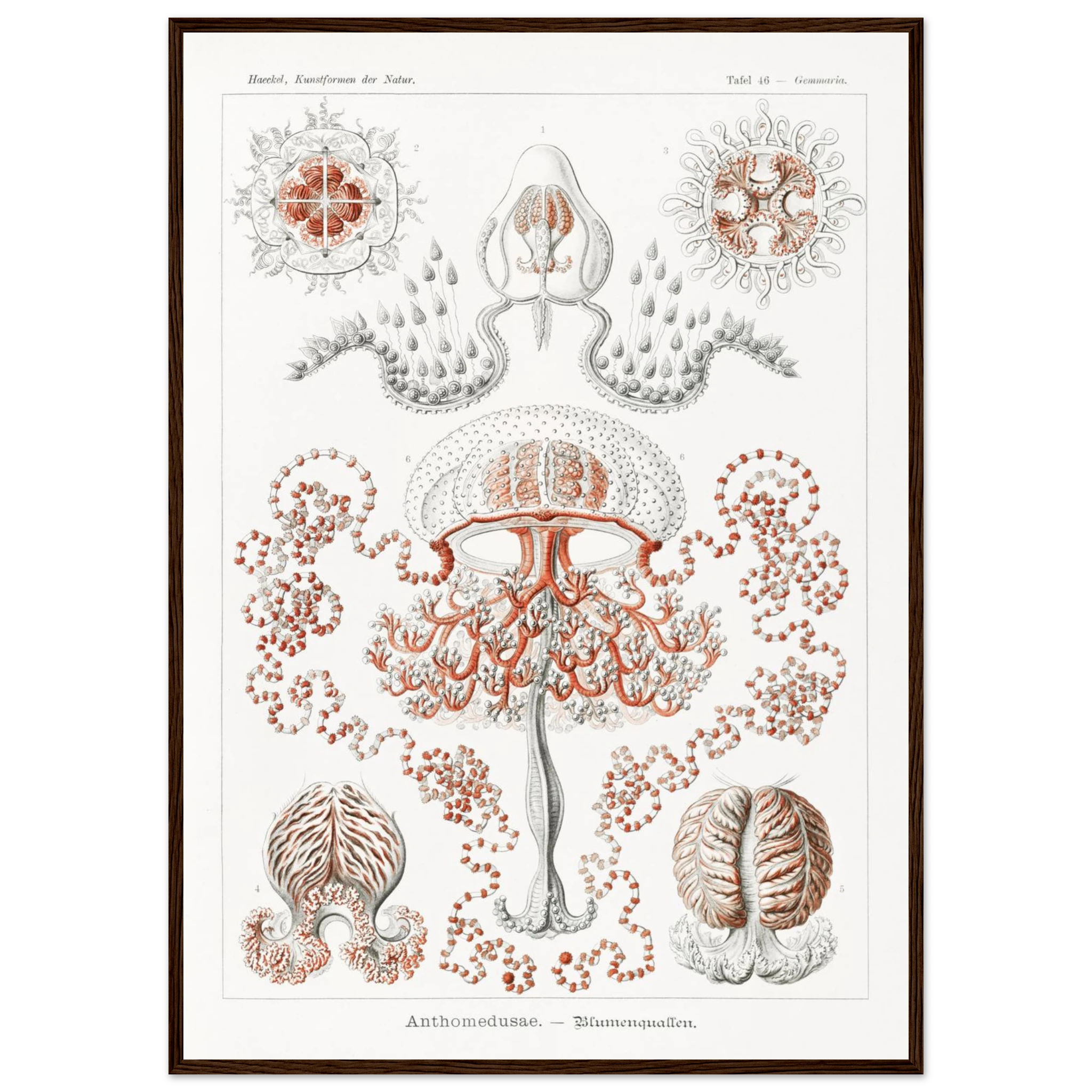 8499cc6c-b13a-4b8b-8b8e-1d0e38c34e89