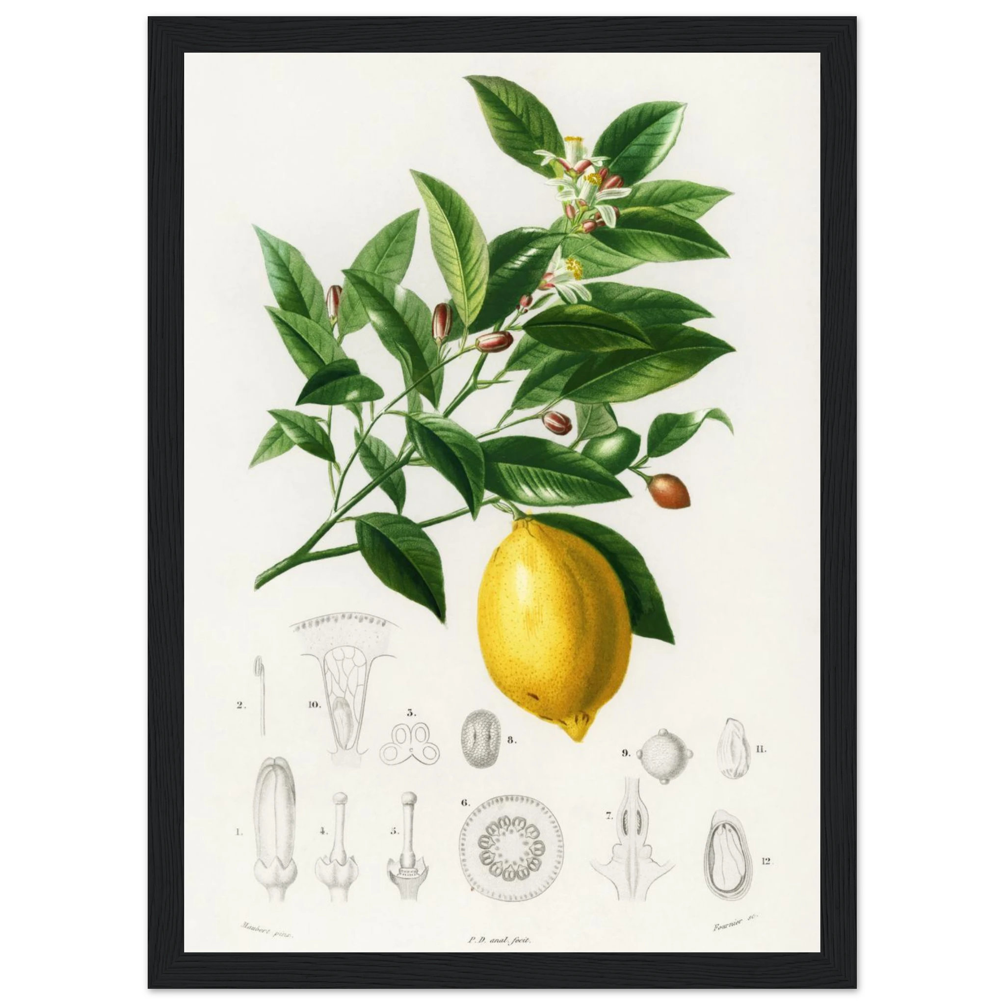 84e7c55d-ee4c-4a04-a4d9-8c3a3df32581