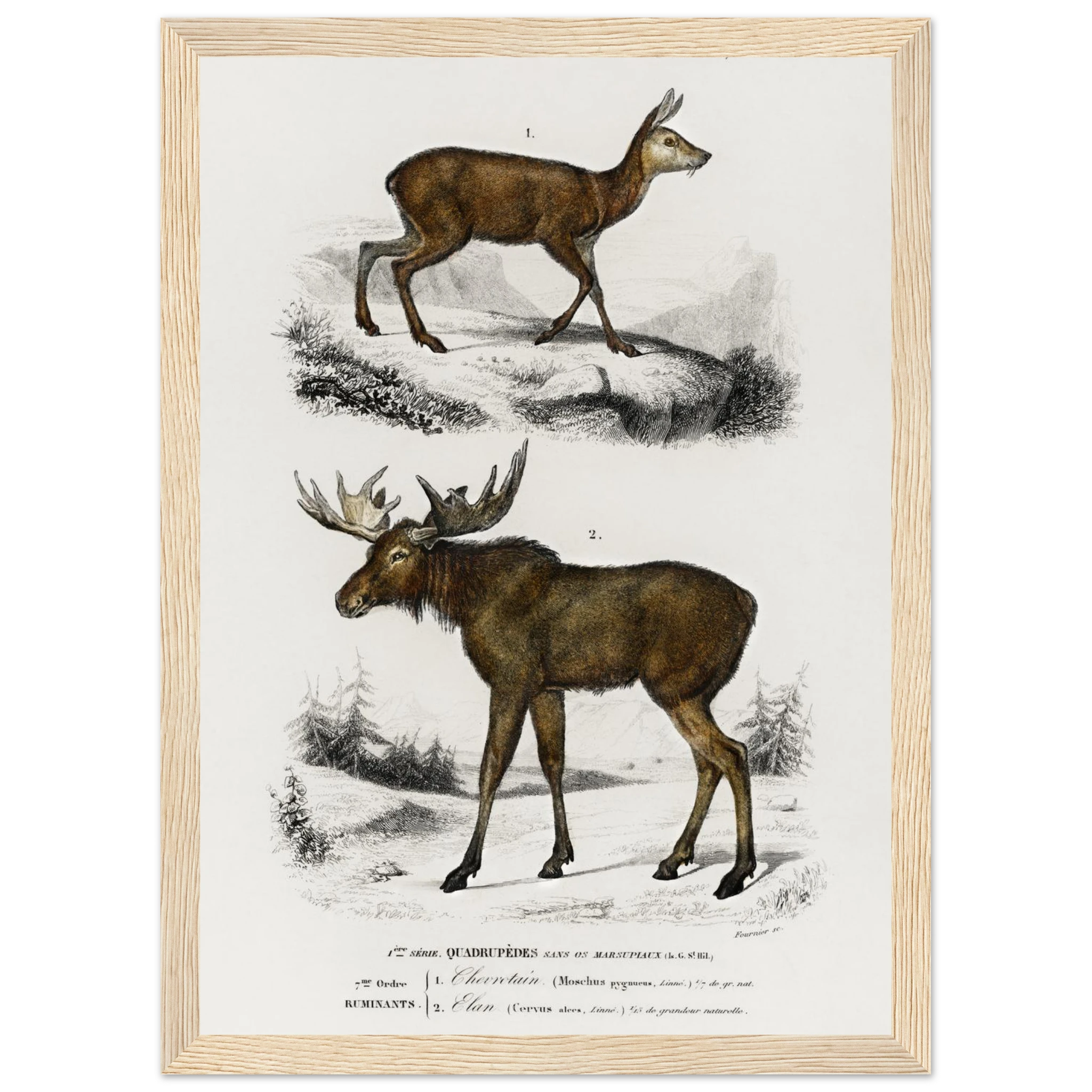 853348f2-583f-4f44-8329-7ae09f892528