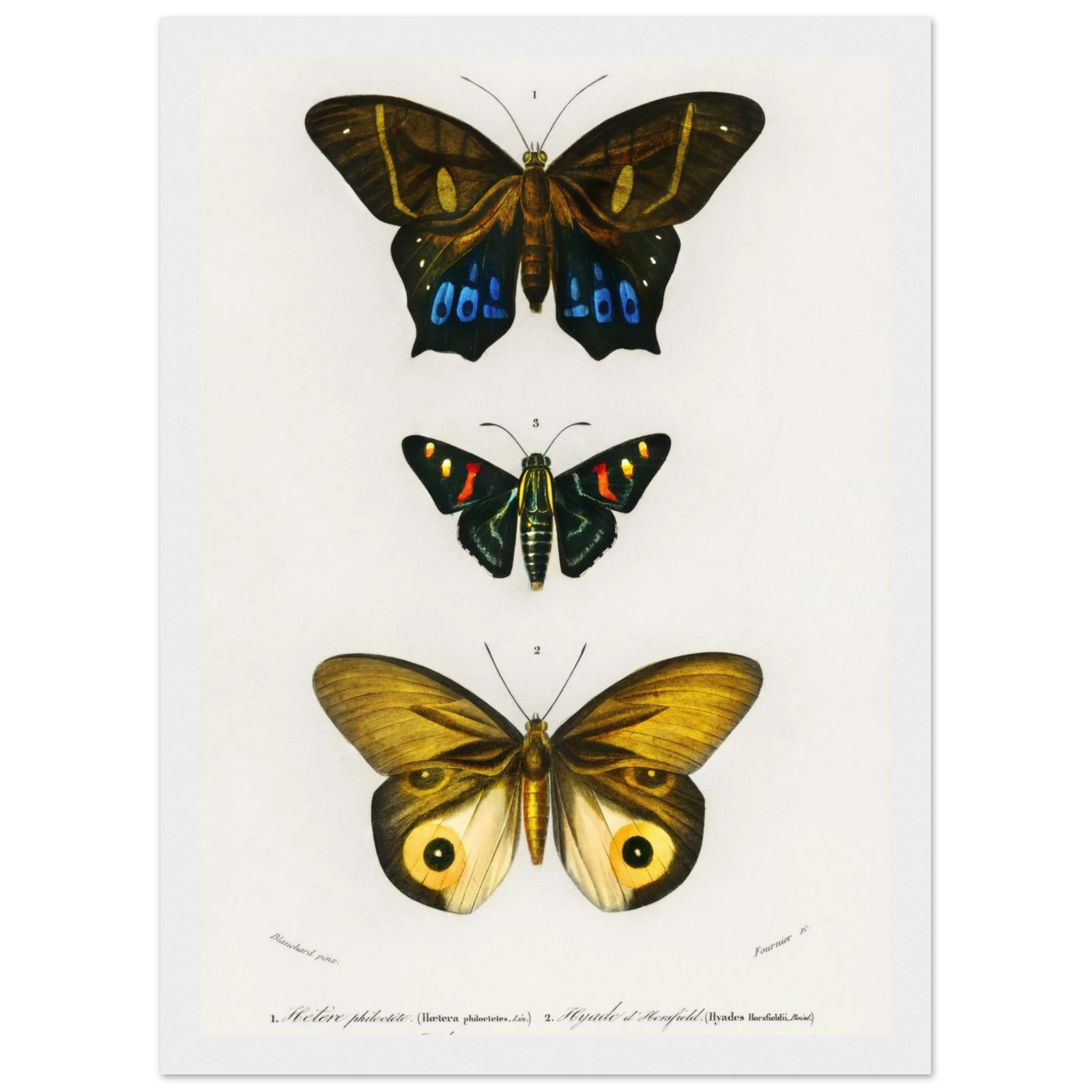 85389c78-ccfd-45bc-a66b-98d2fbaa0b20