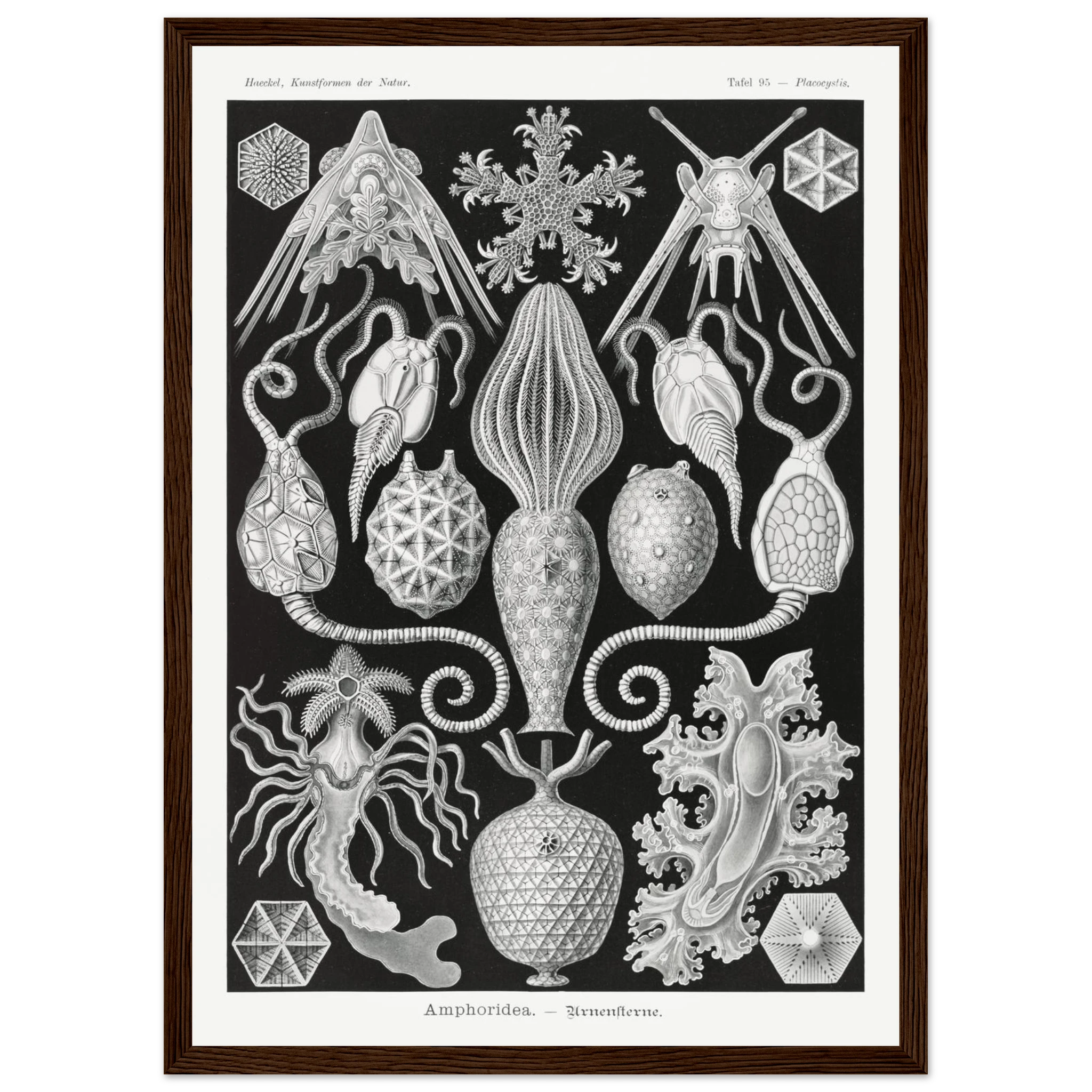 853a2493-b9e3-4702-9da2-a1d2c63b327b