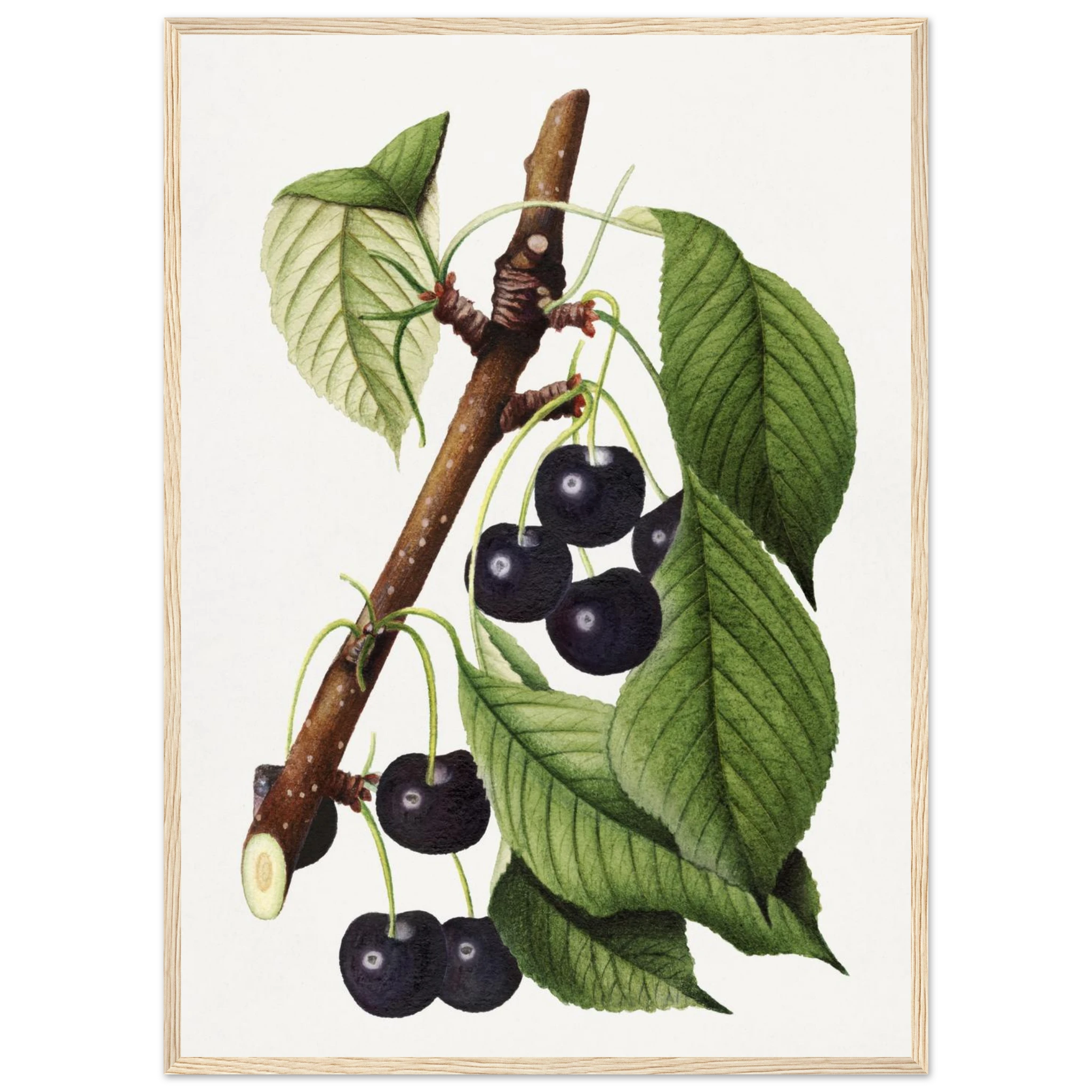 85488e99-7c36-4284-b817-d066be39a06b