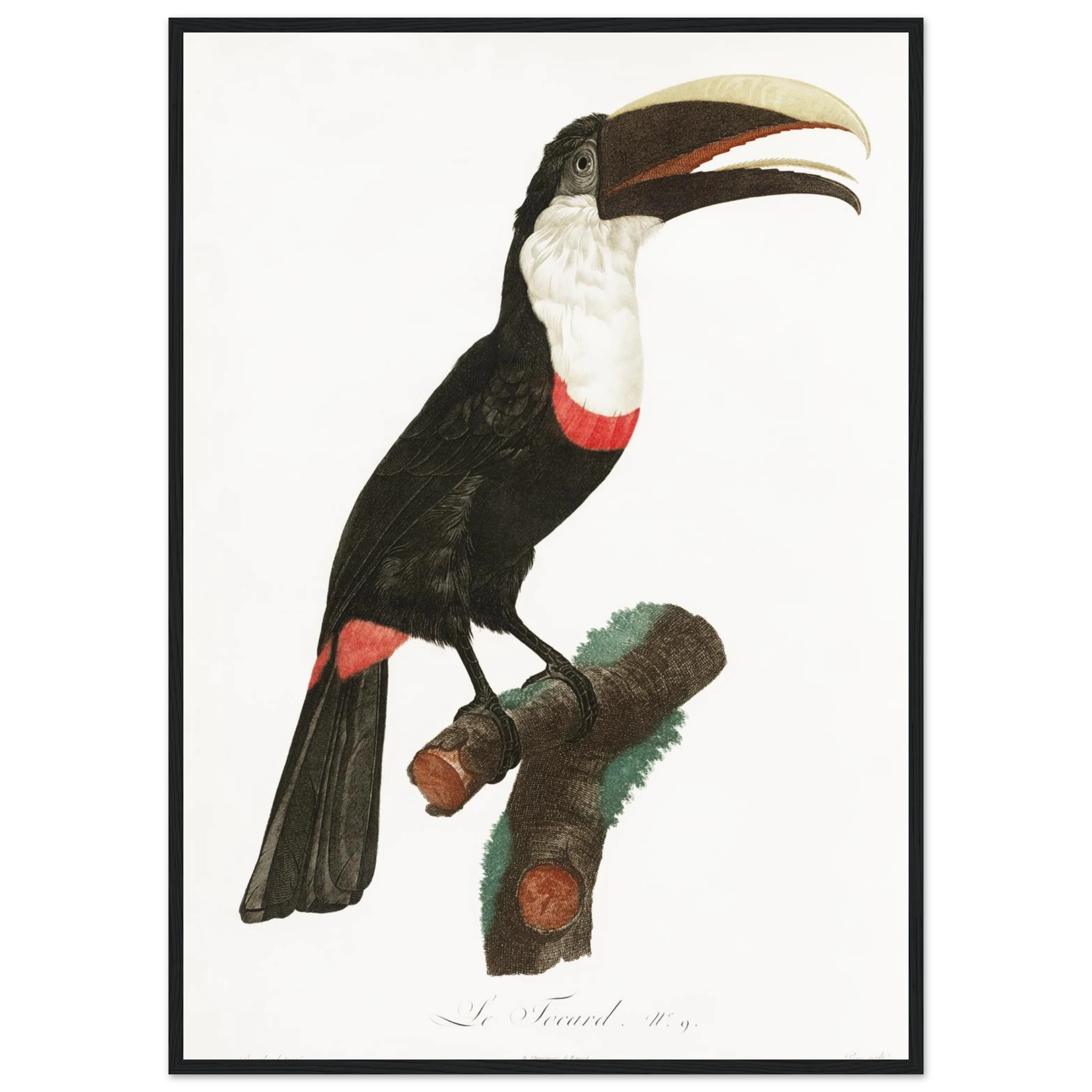 857812b0-6962-49fa-86f9-ff6e42fa585f