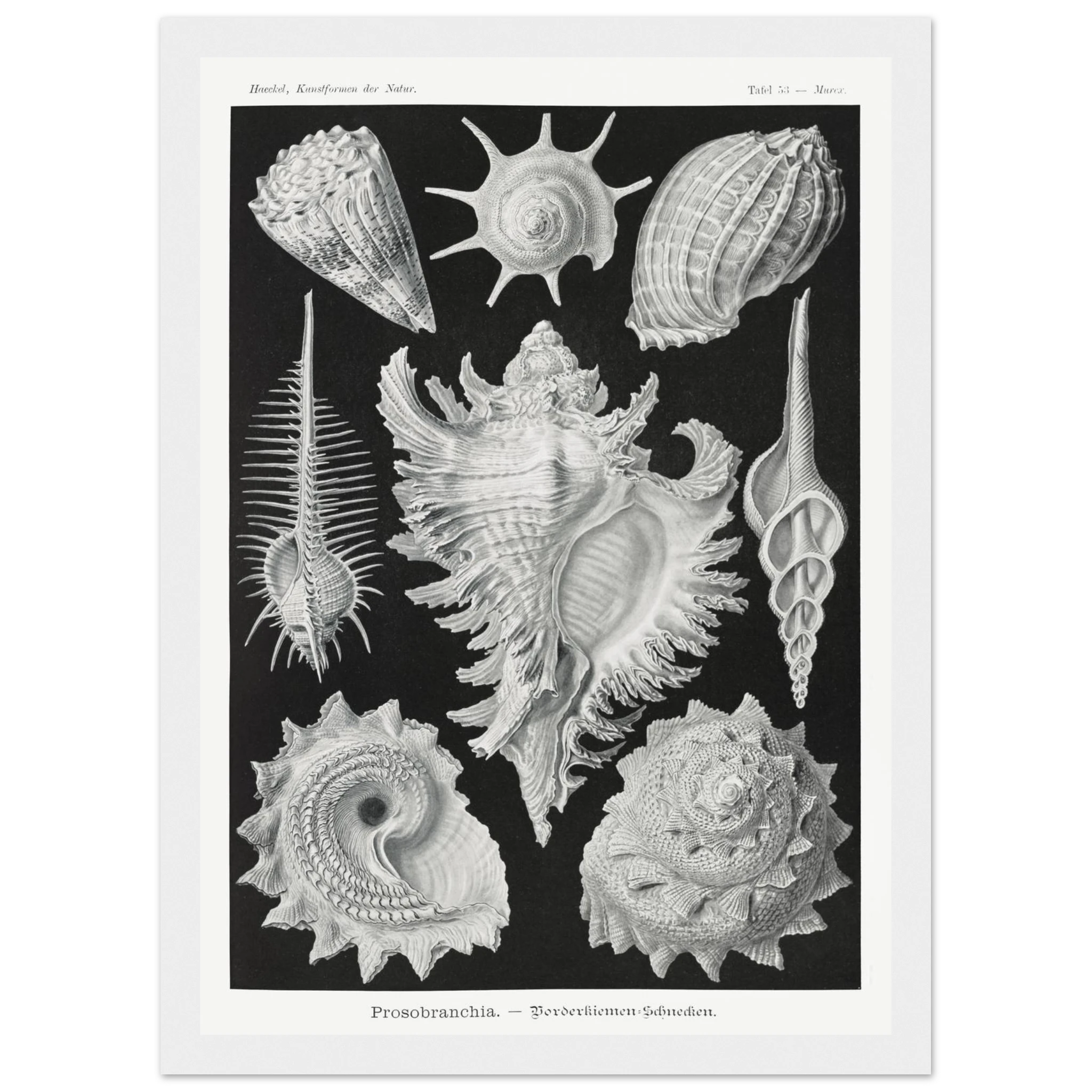 85a2d6f8-e7c6-45e4-ac9e-18ebf8831f26