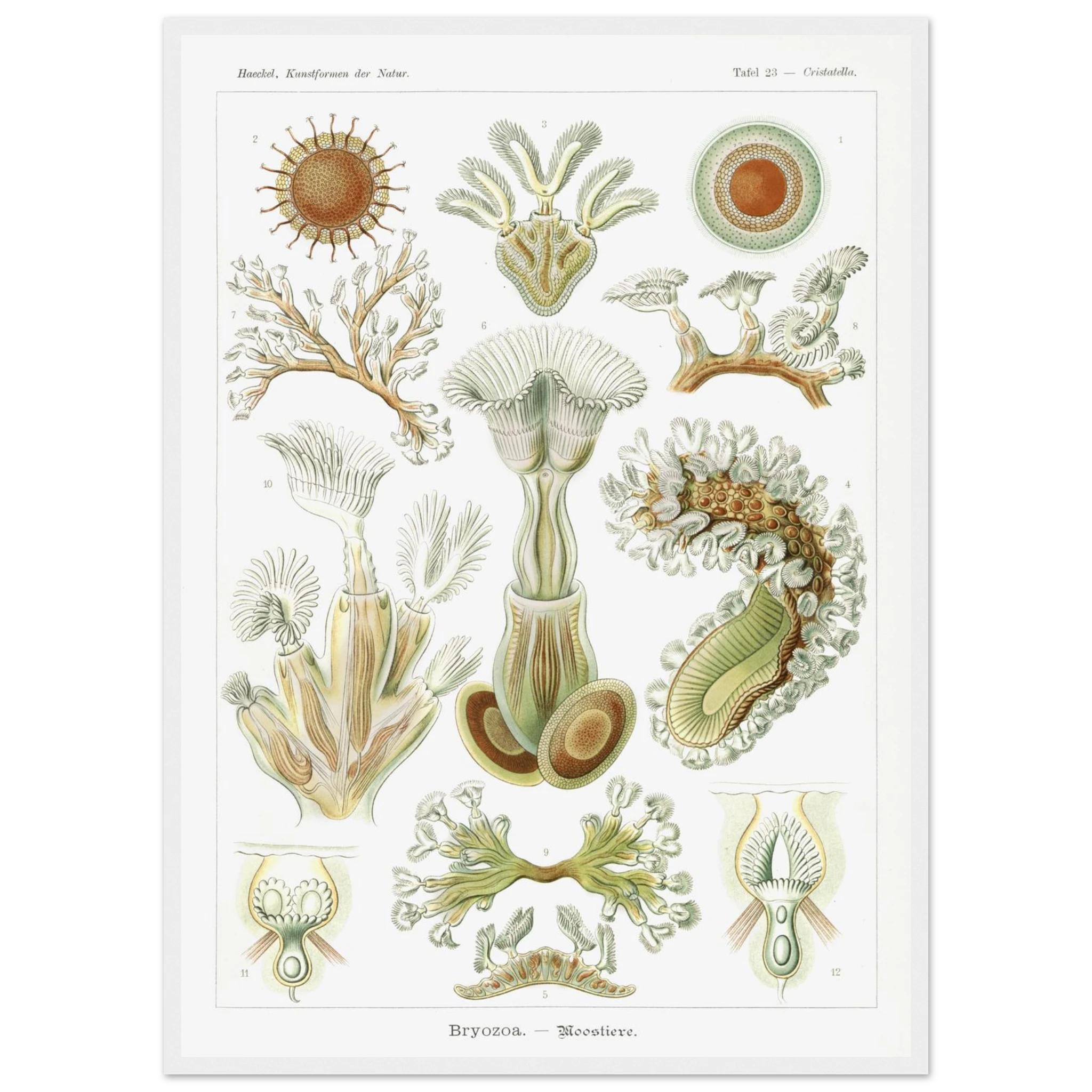 85aaa712-d6e1-471b-8267-cf9078adb4e8