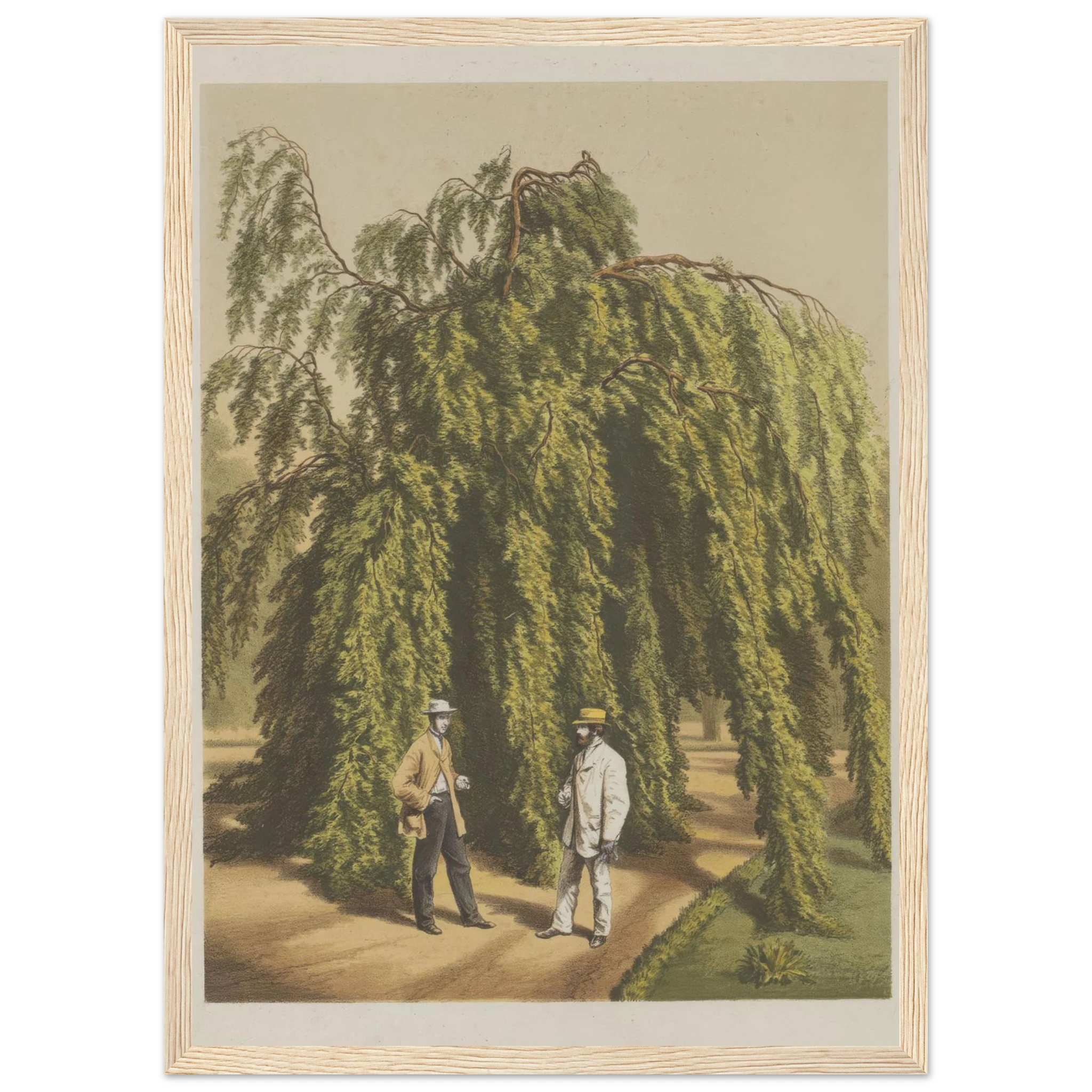 85da71a6-22c3-4d4c-8897-71b5f09ed485