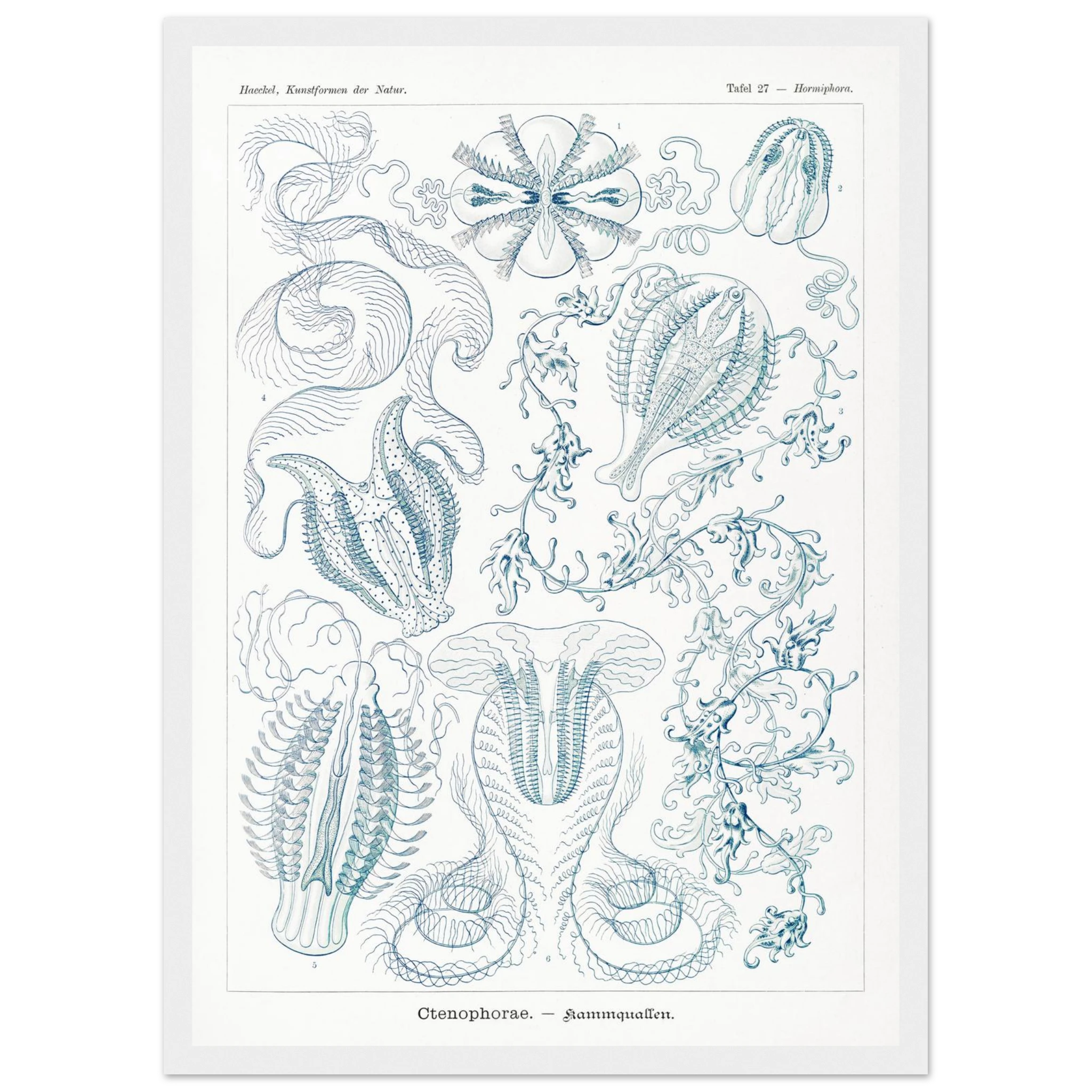 868a2ed7-c3ec-4047-b33f-5cf3e4ffdc59