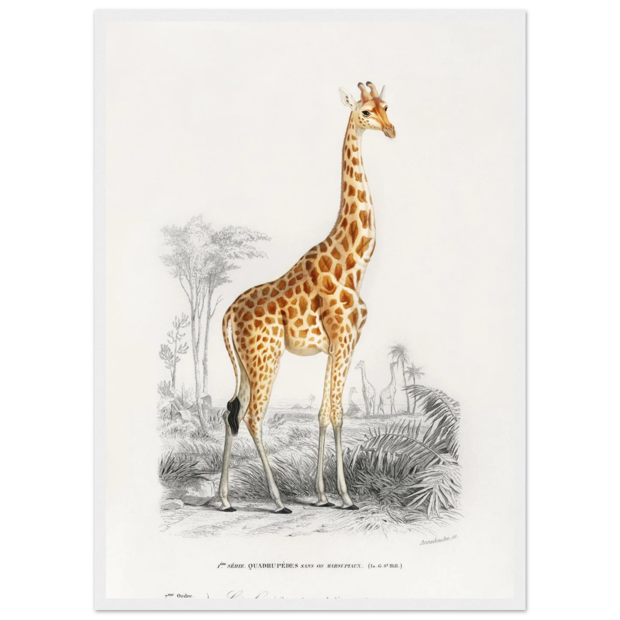 869eafc1-d8bd-4e6e-9fc0-3cc04c094bed