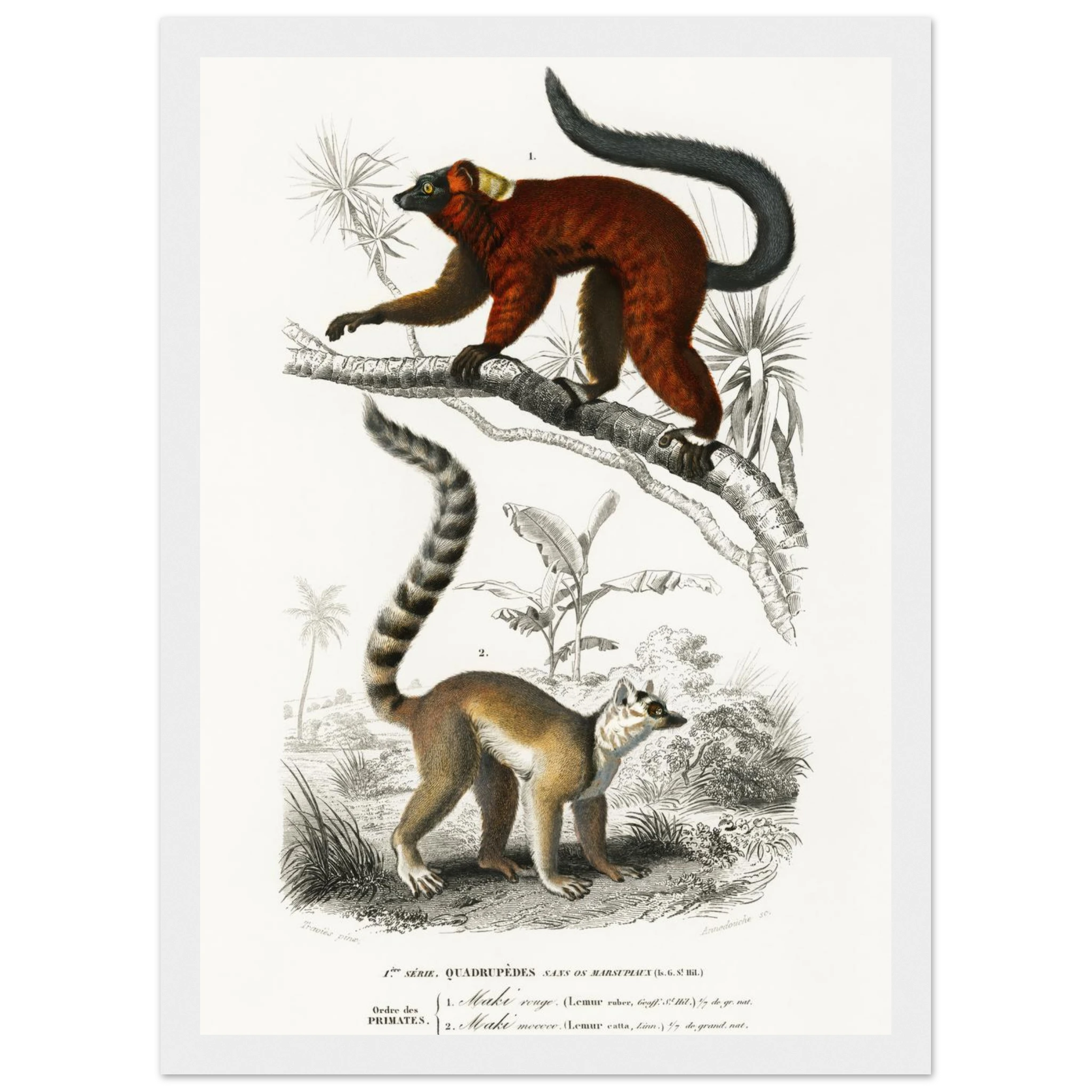 86fccf35-f29d-451f-a6cd-a9e27150d3fe