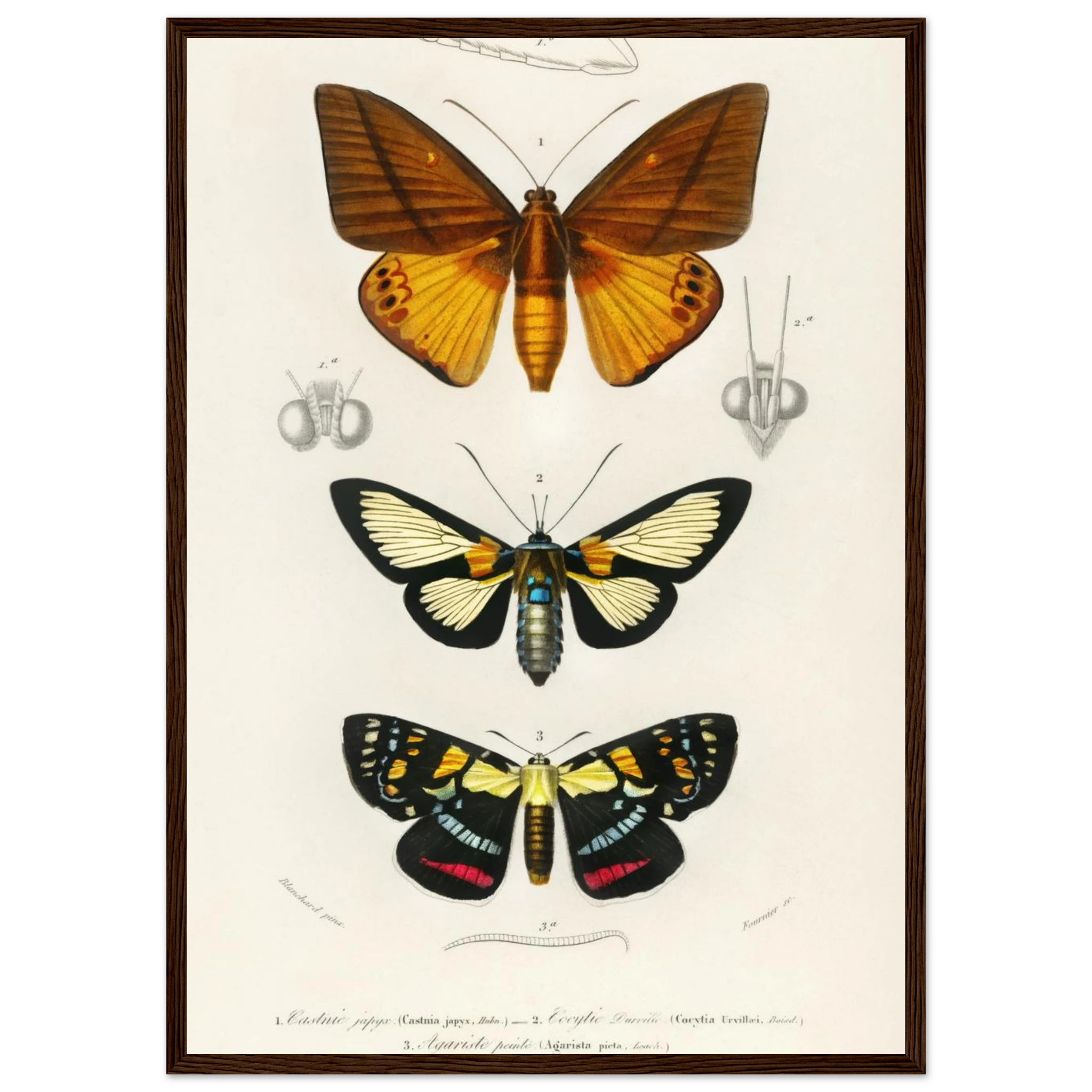 870bc44f-c3ca-451b-bf5f-3b782b99e543