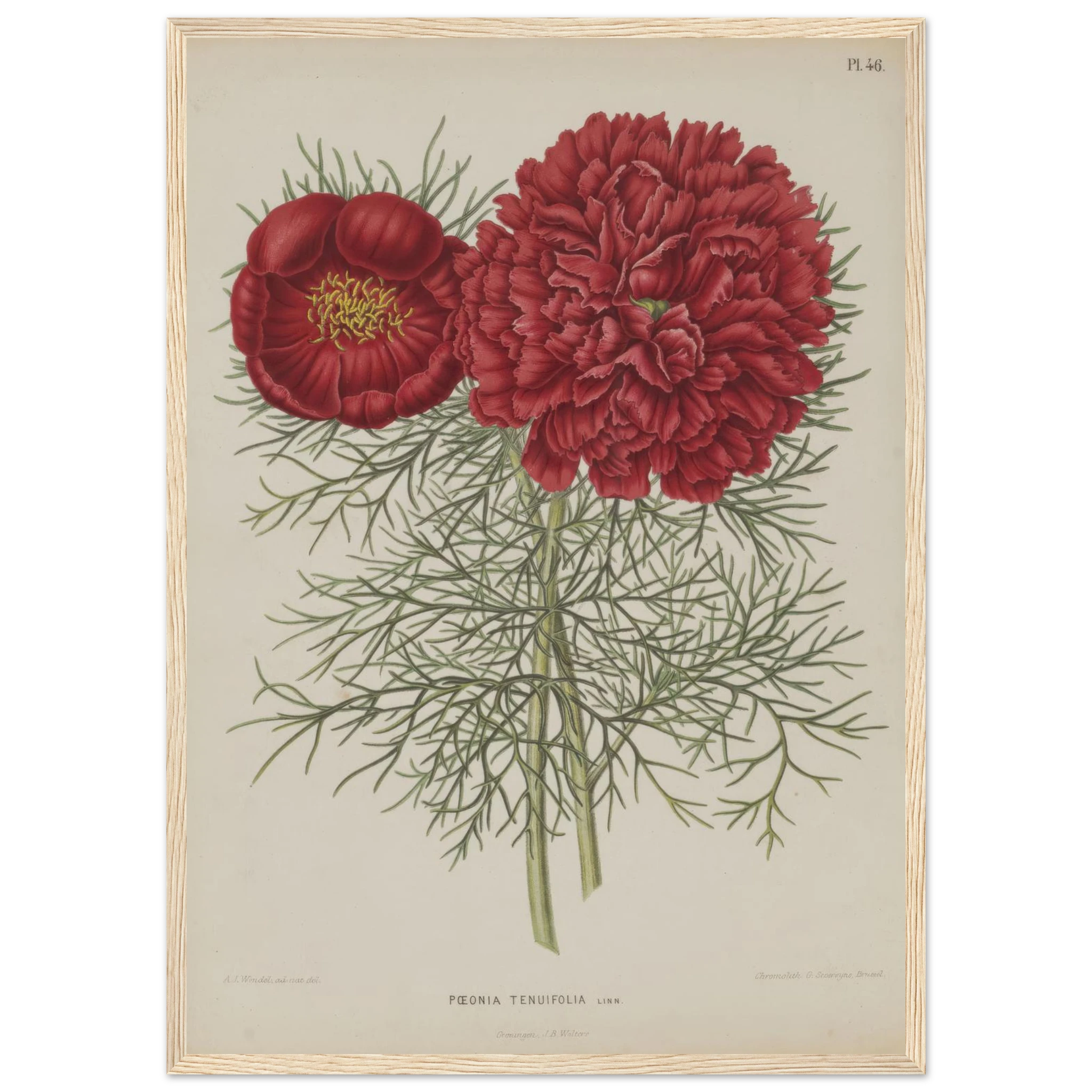 873bd786-d13c-4704-8dd1-546ef04618a7