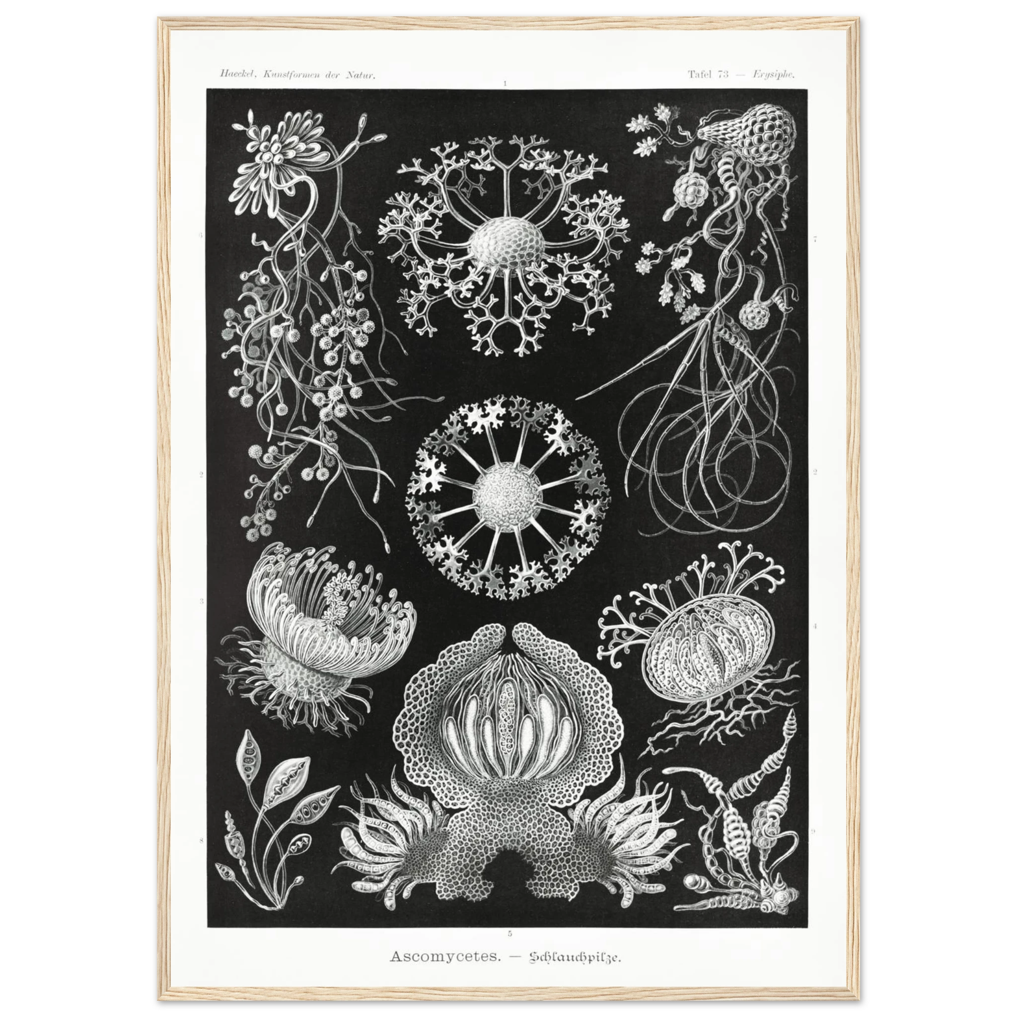 874780fc-bd95-4f4f-aae4-2aedeeaae9e6