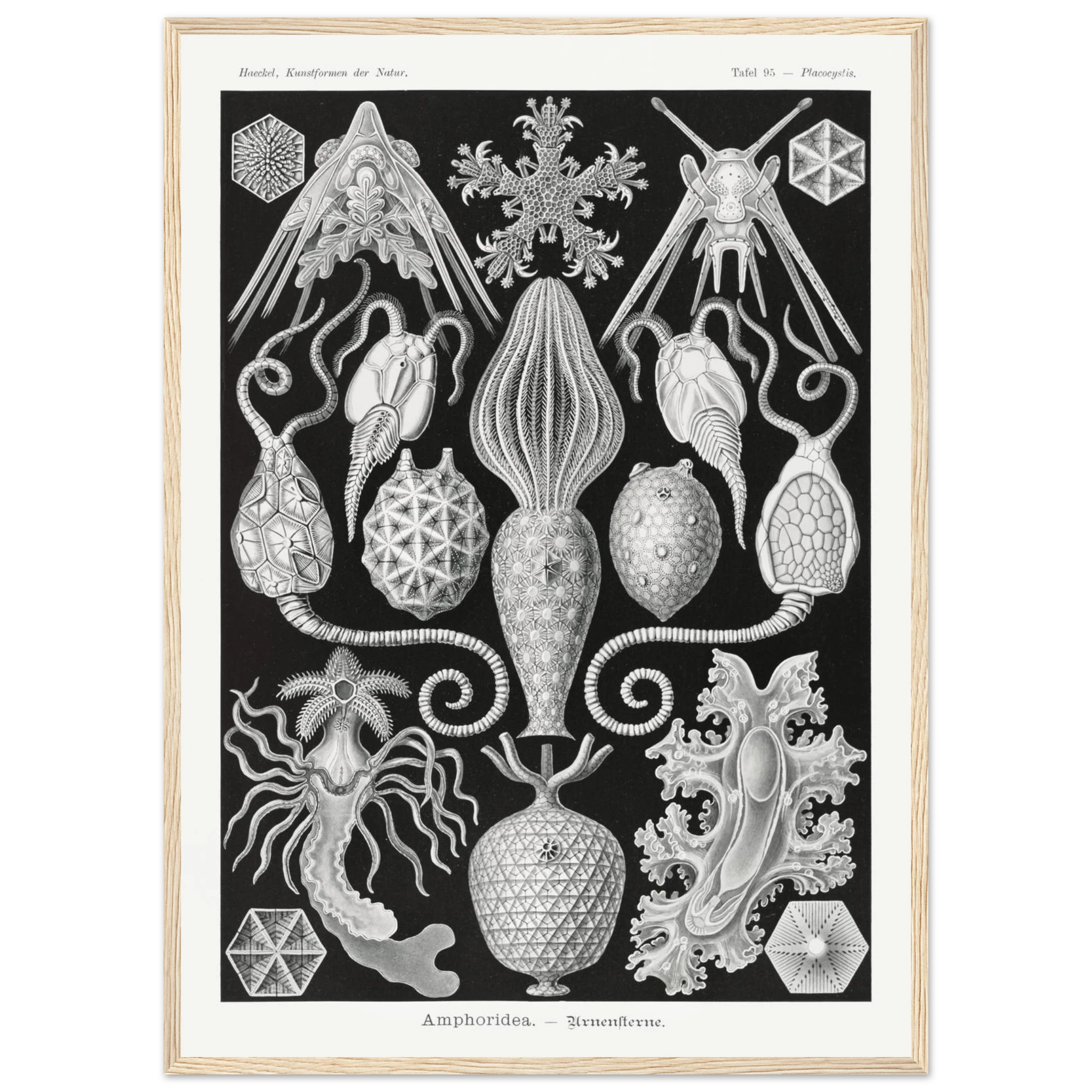 8758d253-6049-4b25-ab41-967d313e1c59