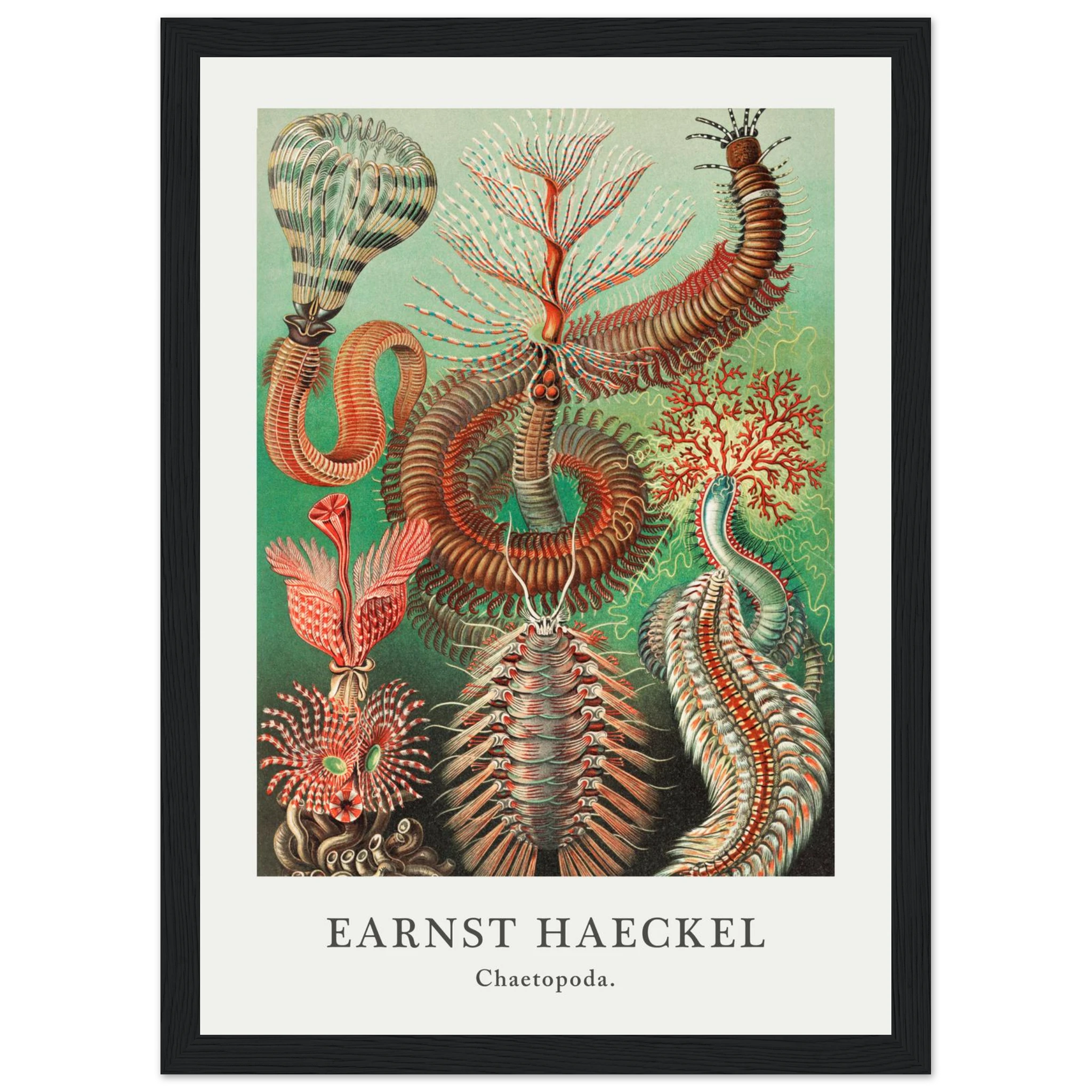 879def5d-98a7-4b8e-afa7-085f762524af