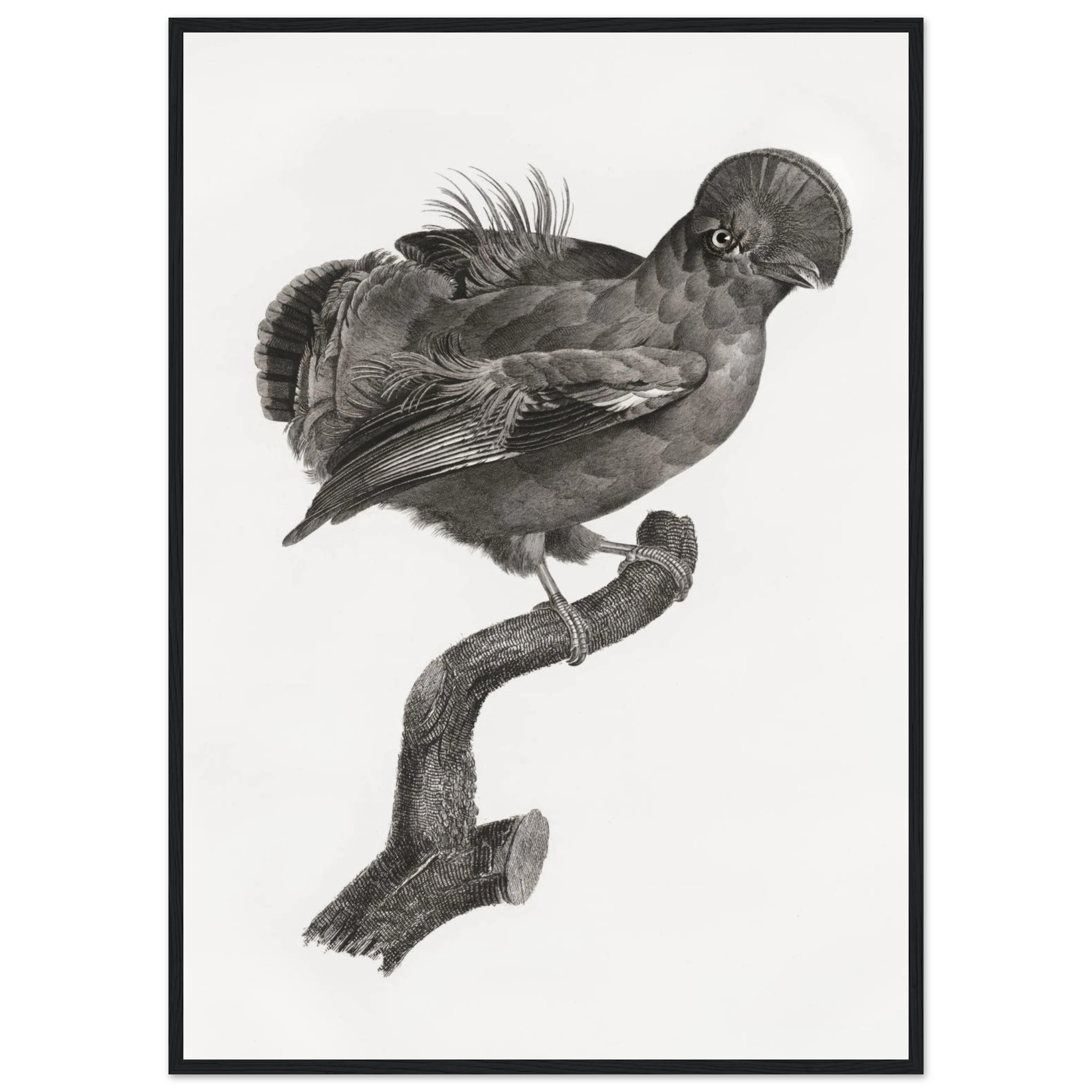 87ed1784-1c3f-46b8-8563-c4d4700bb5e2