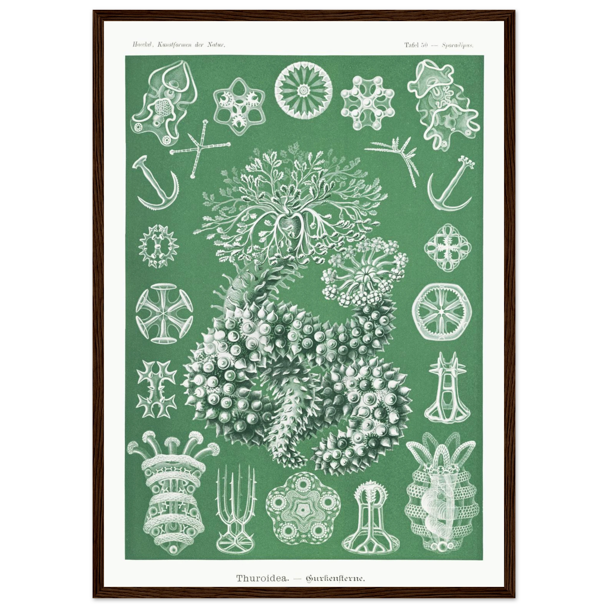 884a811d-3fd9-4458-8526-86851b000737