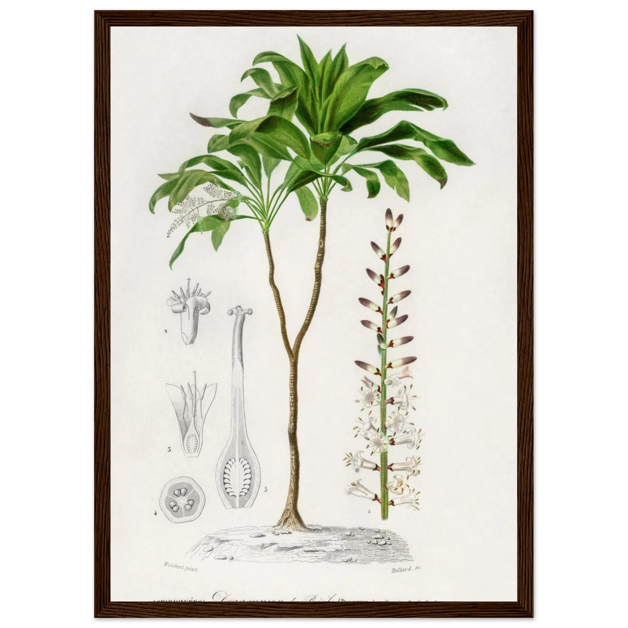 886c4685-928c-4b33-9964-e3b41ec1de74