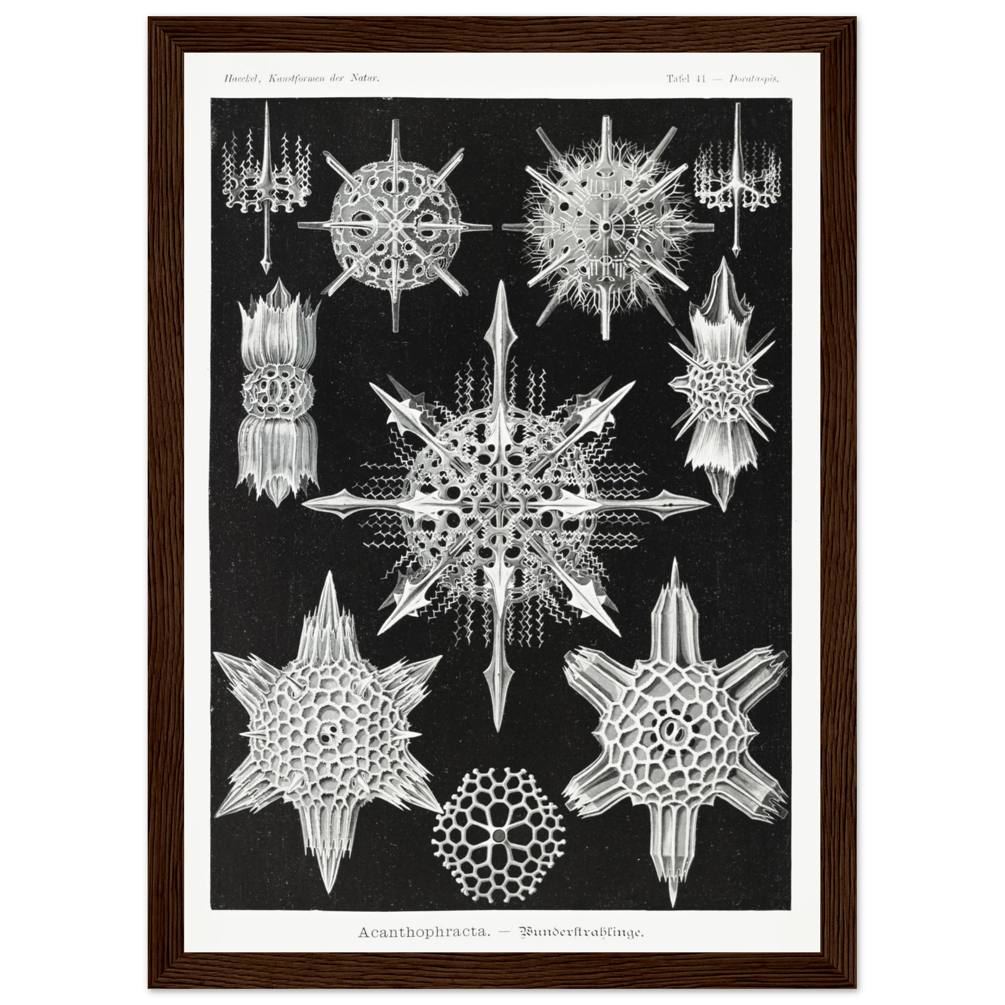 8872b0ed-107f-47e6-9f2b-721e944f44db