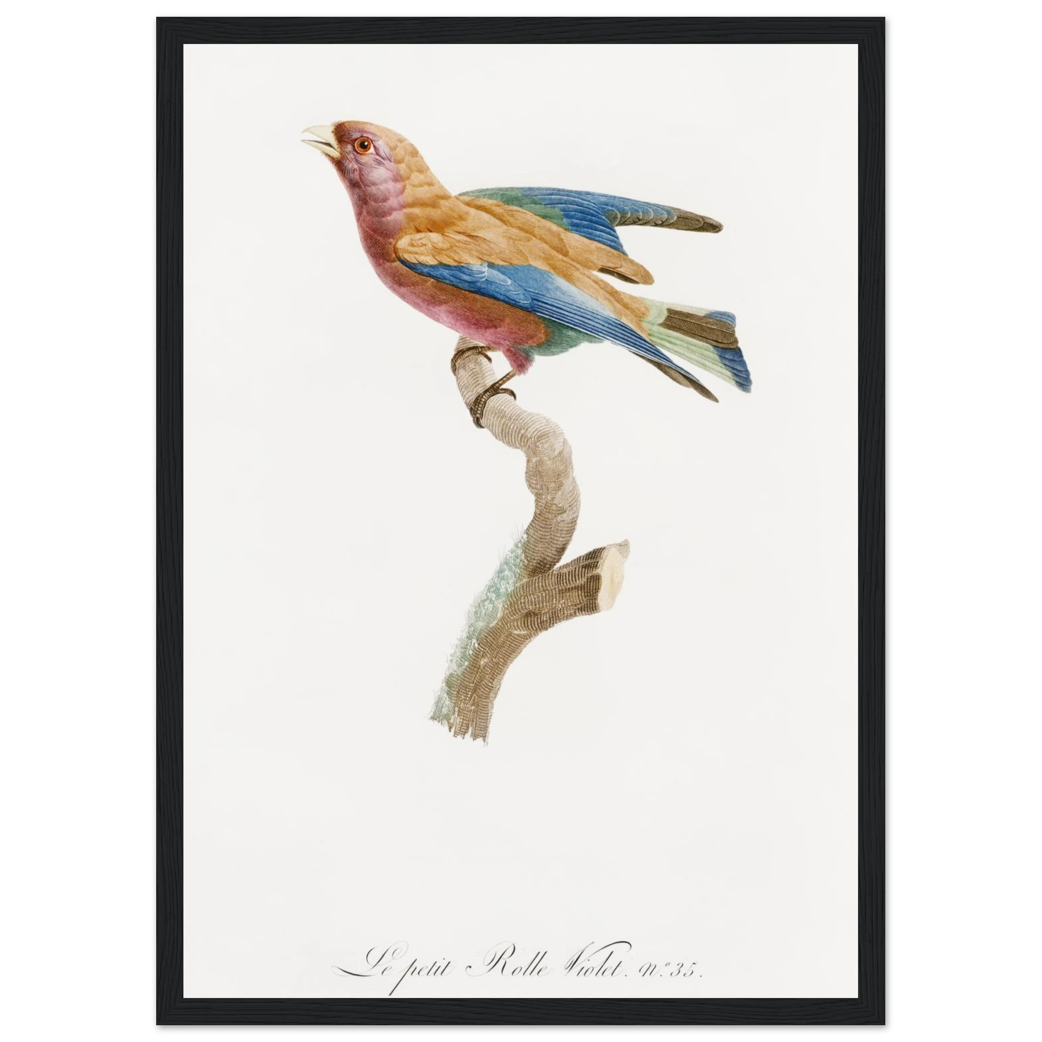 88bc2896-3166-4092-b04b-0919c443b3ab