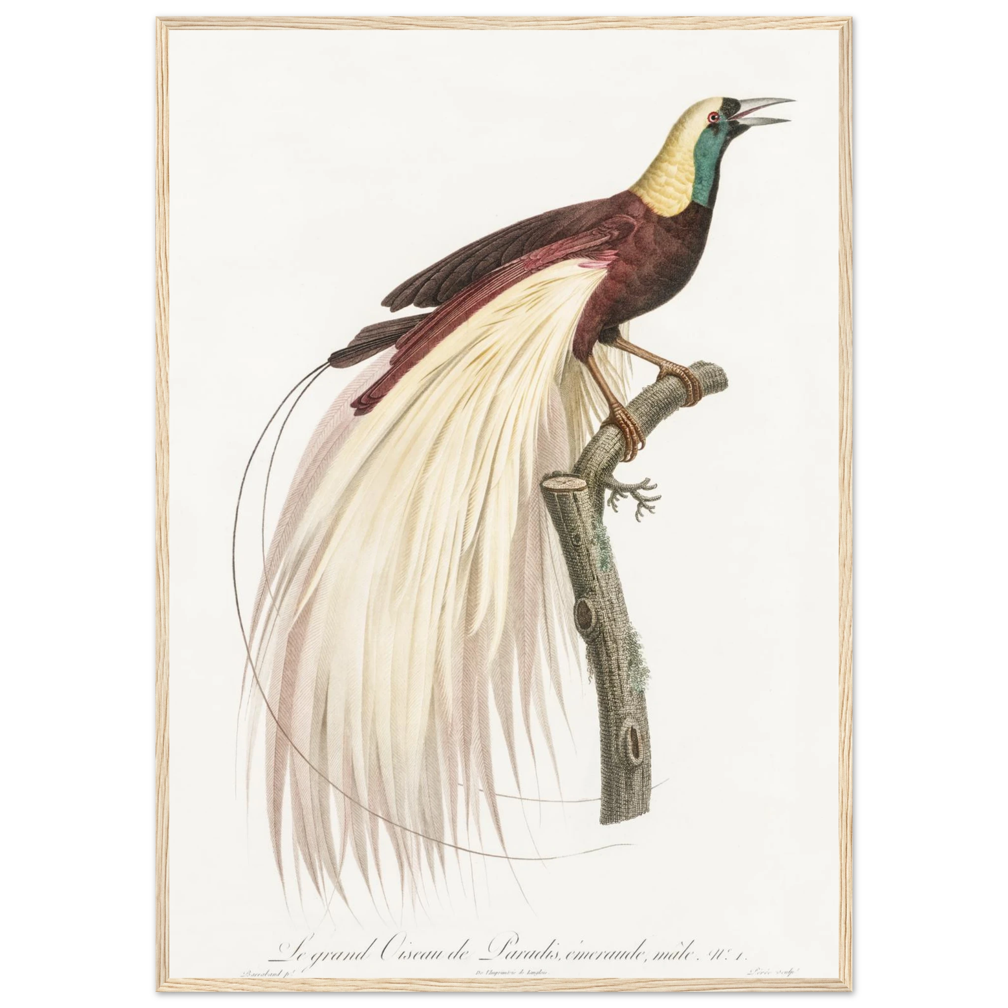 89288c06-2bb9-461a-baad-ecbd9be737f6