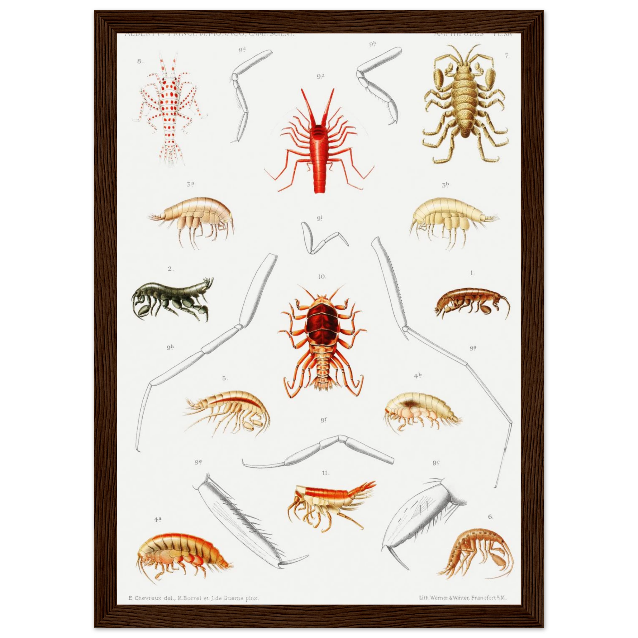 896c87c5-fa0f-4391-a6d1-d829e54e6fec