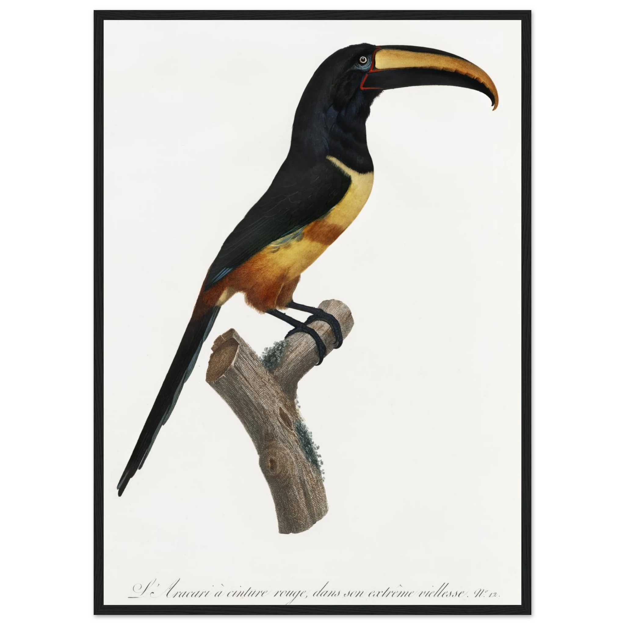 89749018-04ba-4957-941f-a1586fa23a94