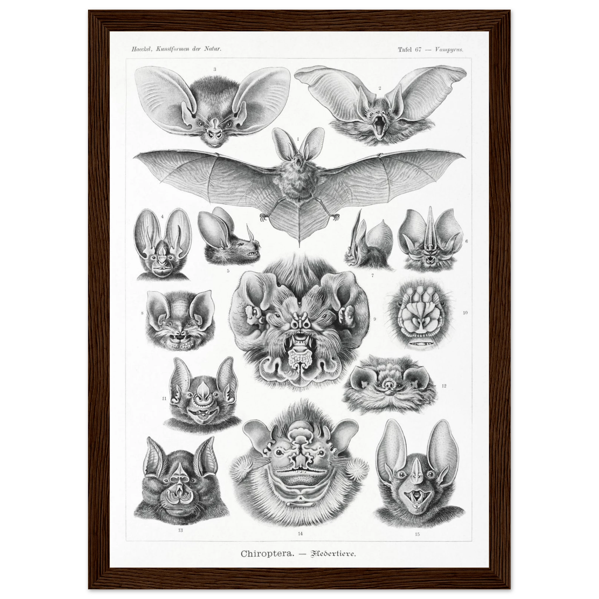 897801ab-6225-4ae4-8c23-2234a4db502d