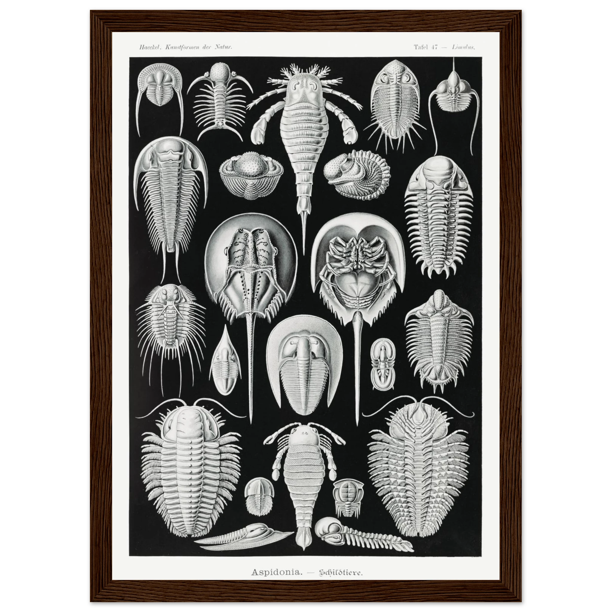 899e515b-cdde-47f2-85da-ba419b8ad409