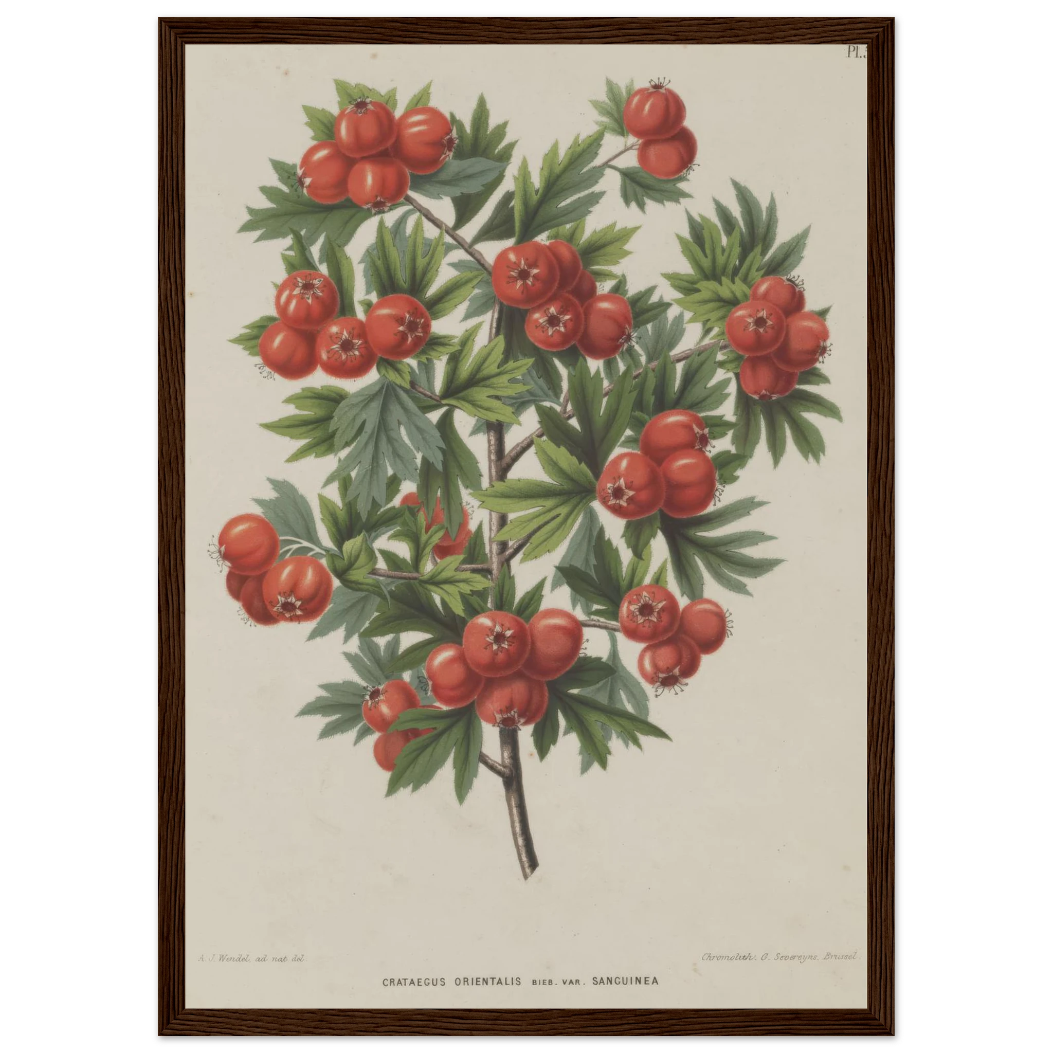 89fd9360-7f4b-4f3b-9e4c-b3c5fa572a17