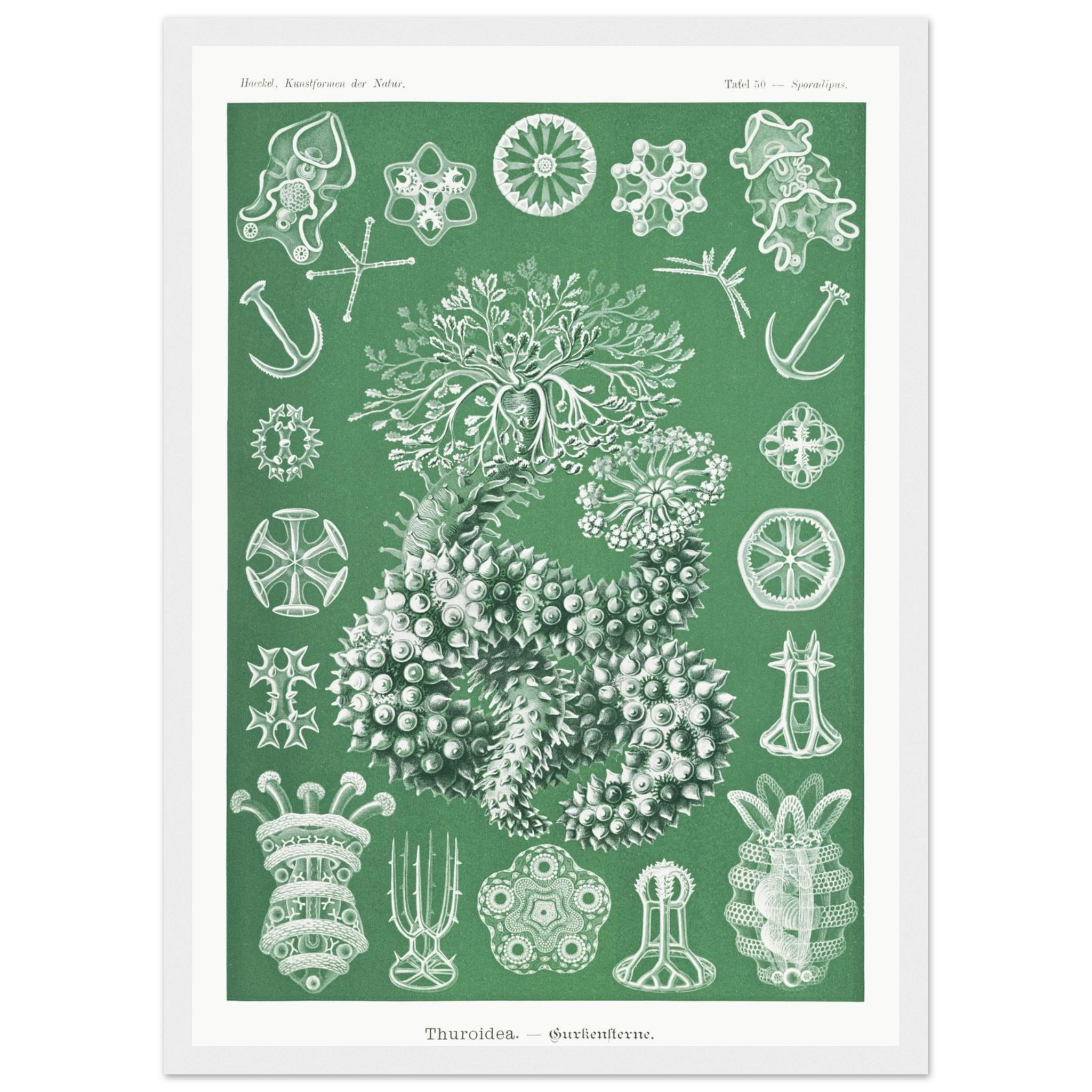 8a17abd0-794e-4106-9dee-7e6af791be8a