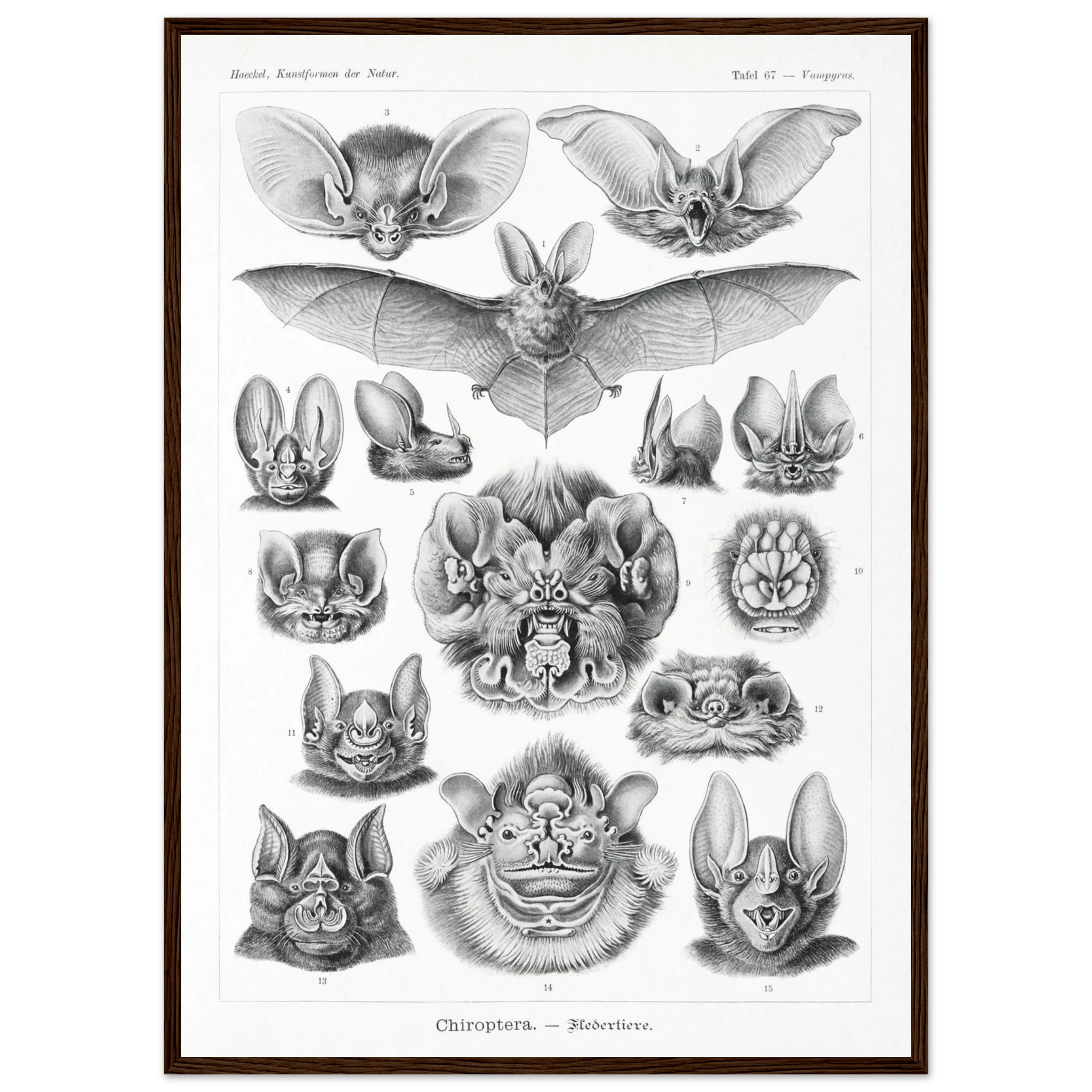 8a61781a-4e2c-4c36-a71e-b0502398724b