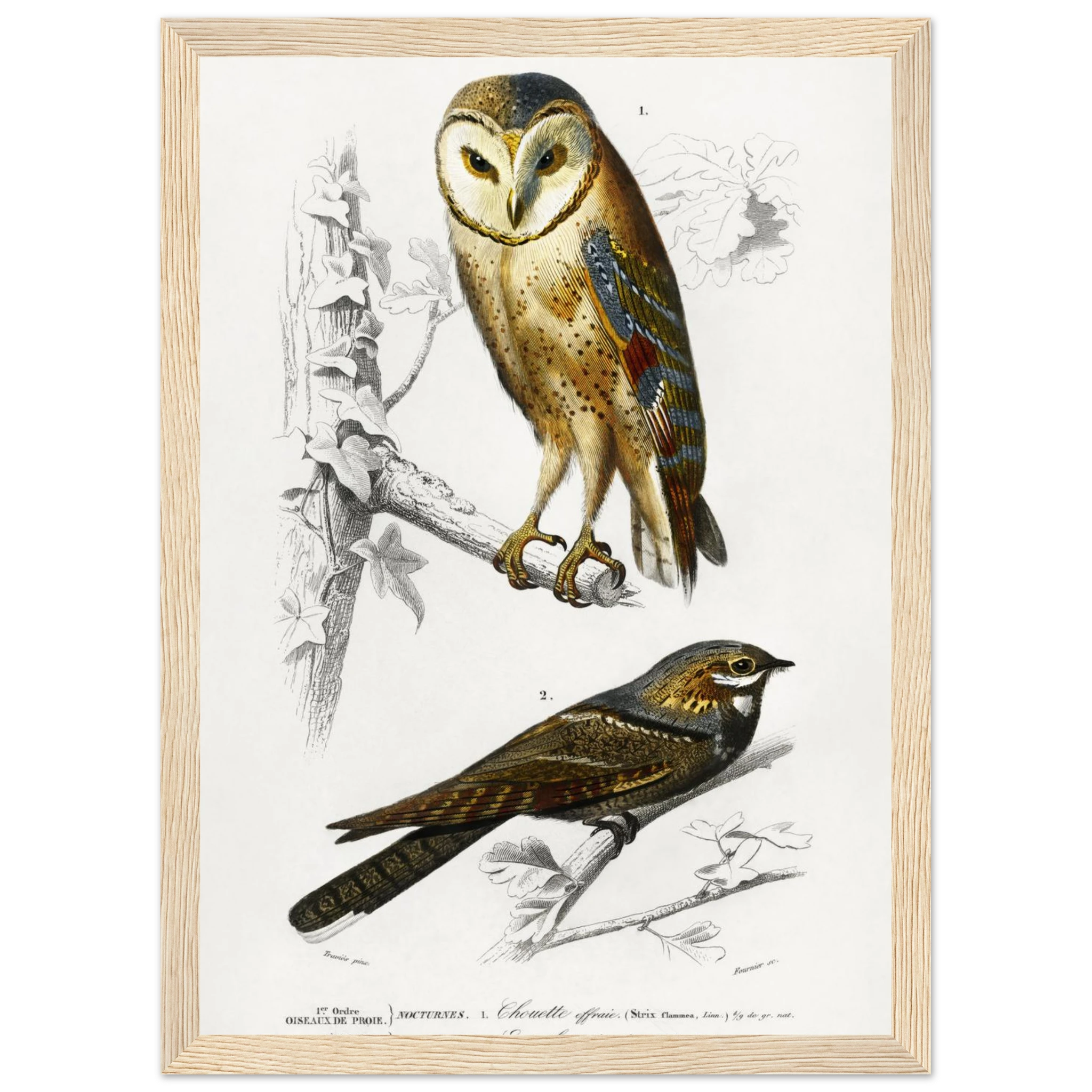 8a743ec4-9ad7-41e7-9626-a0a89e72ea8a