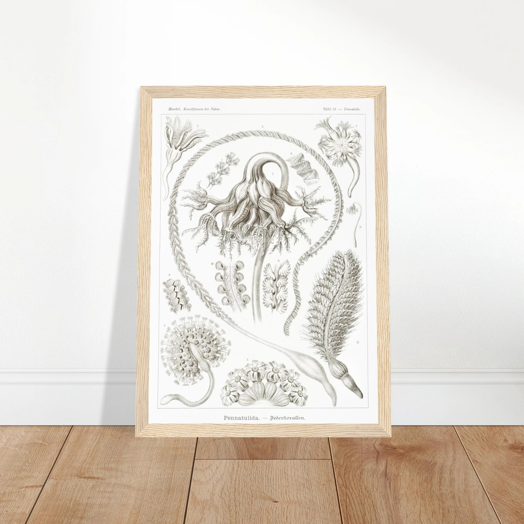 8a85cbb3-12c9-4f96-bea7-baa56ab51924