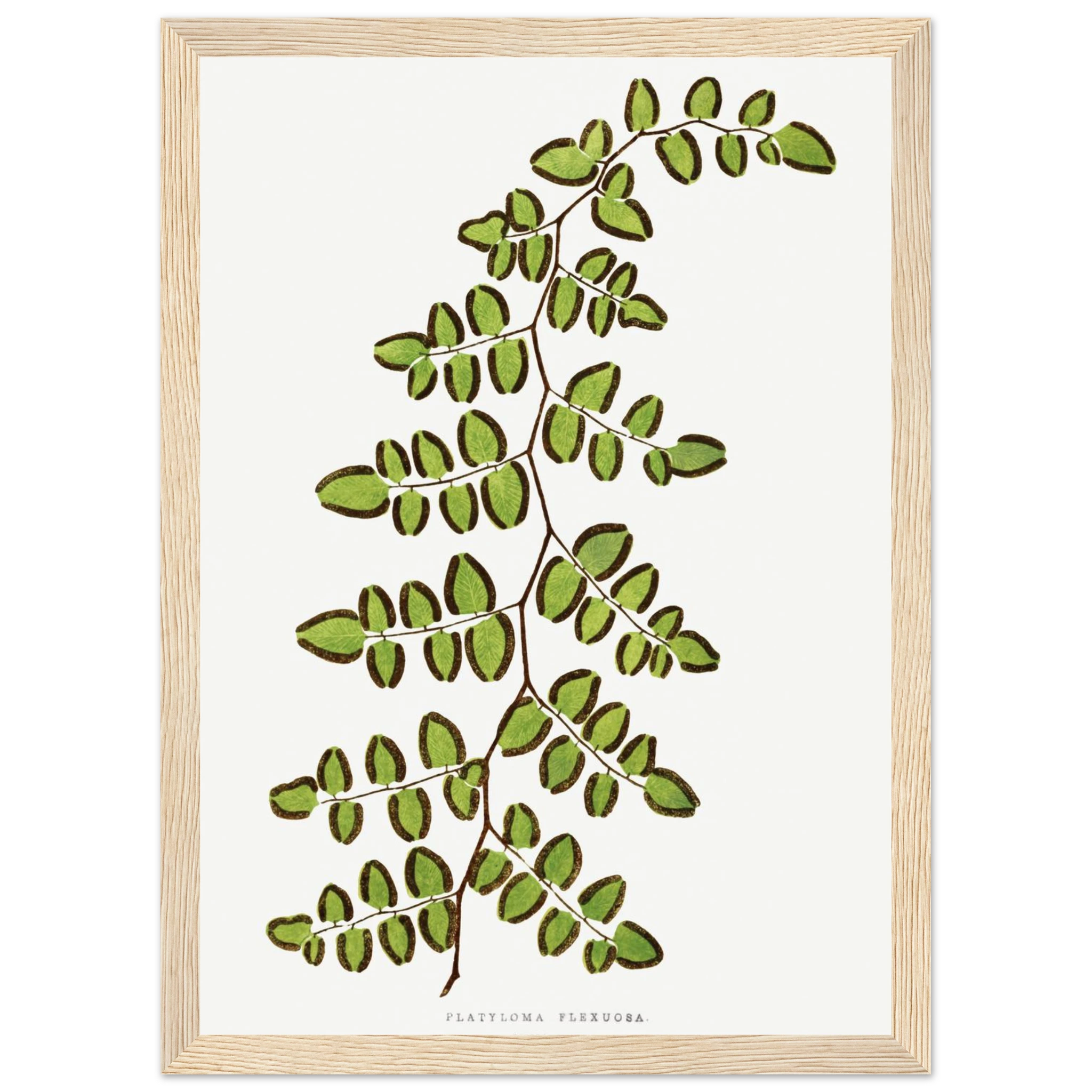 8a877491-62ec-4f37-bc35-7381c799c700