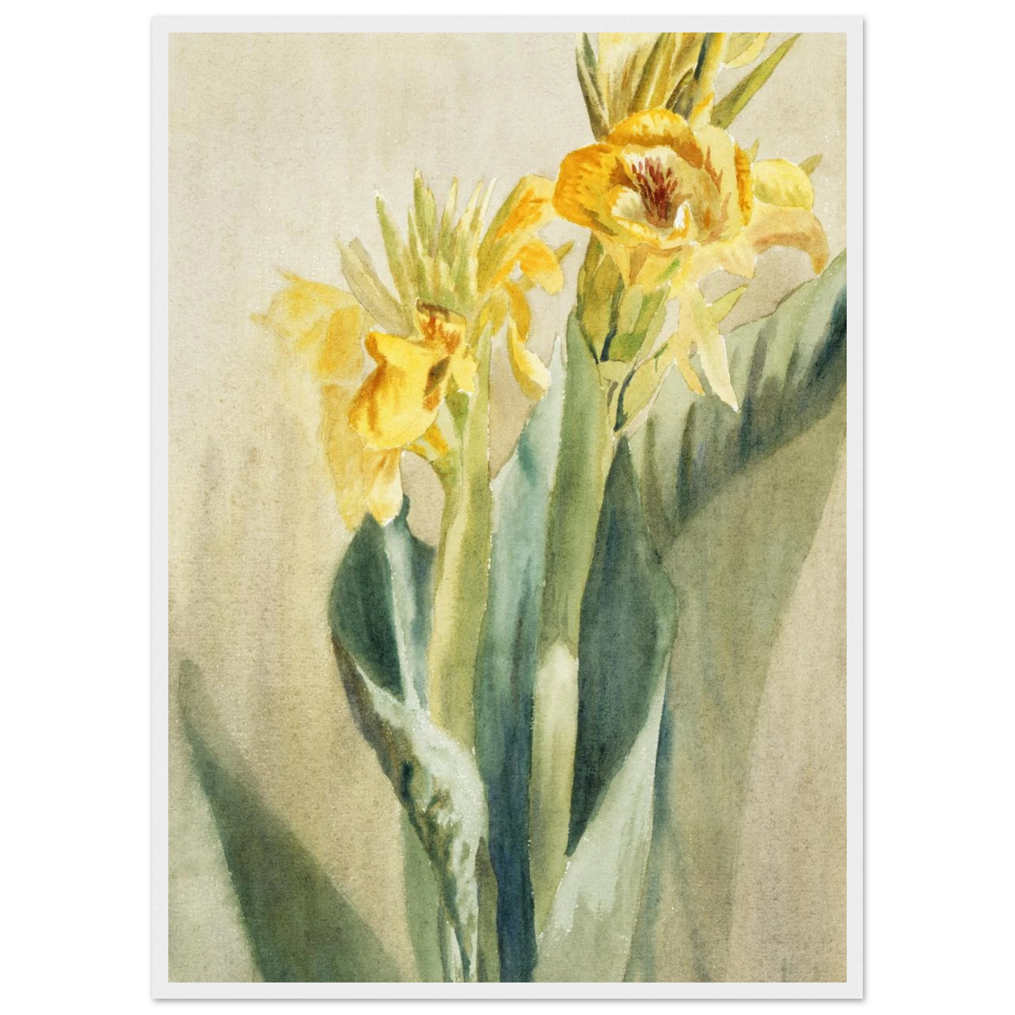 8aabd849-7f51-450e-986a-ca3270f5e713