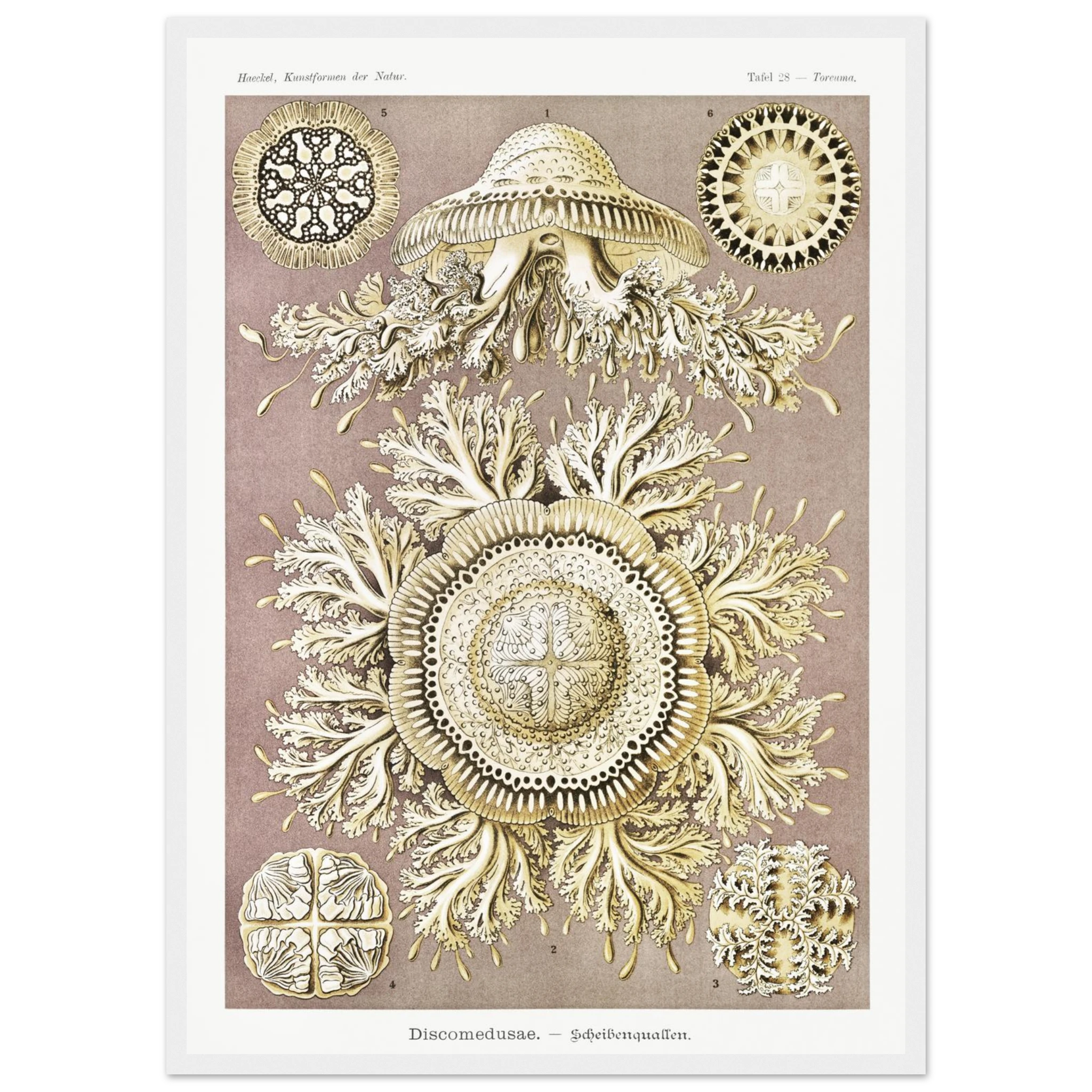 8aba689a-8a5b-4a7d-b178-62def4f1805f