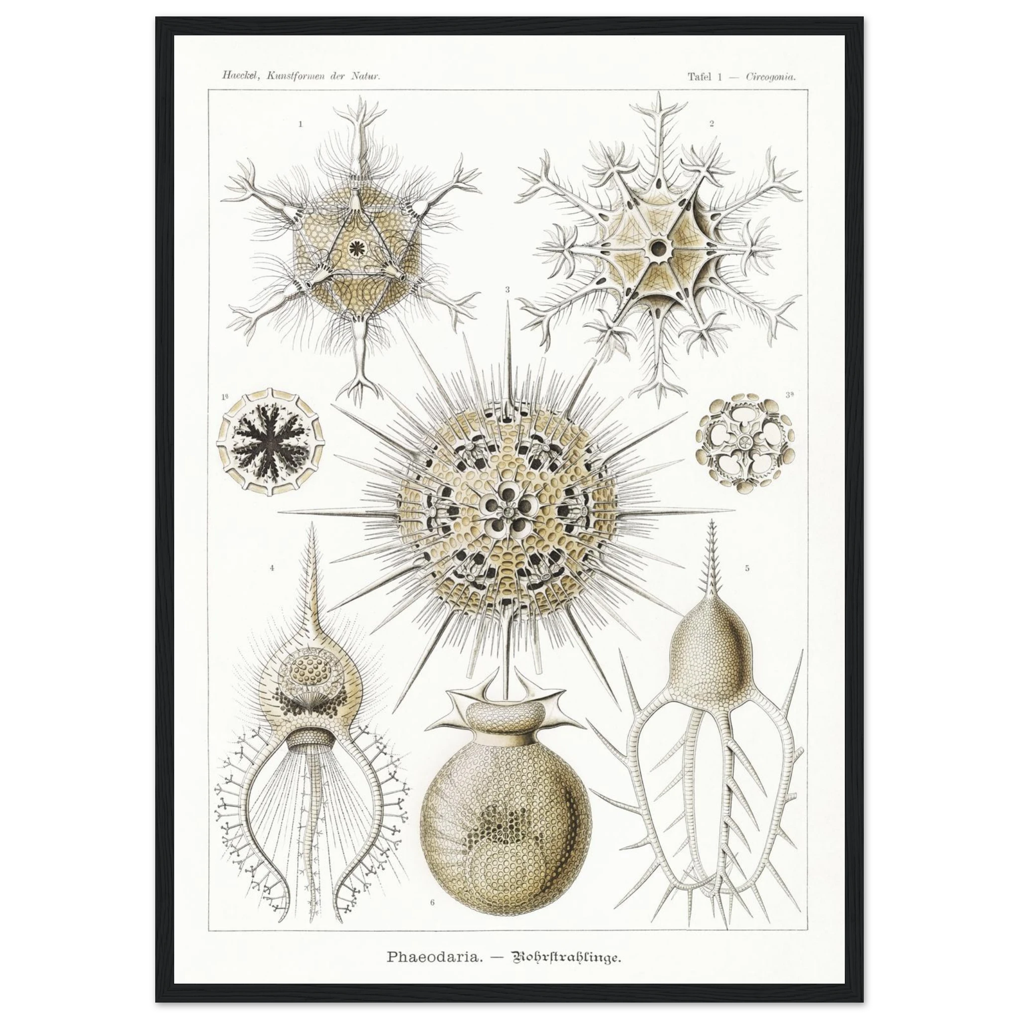 8ac16afc-eb8b-4997-abe8-ba7836b7c313