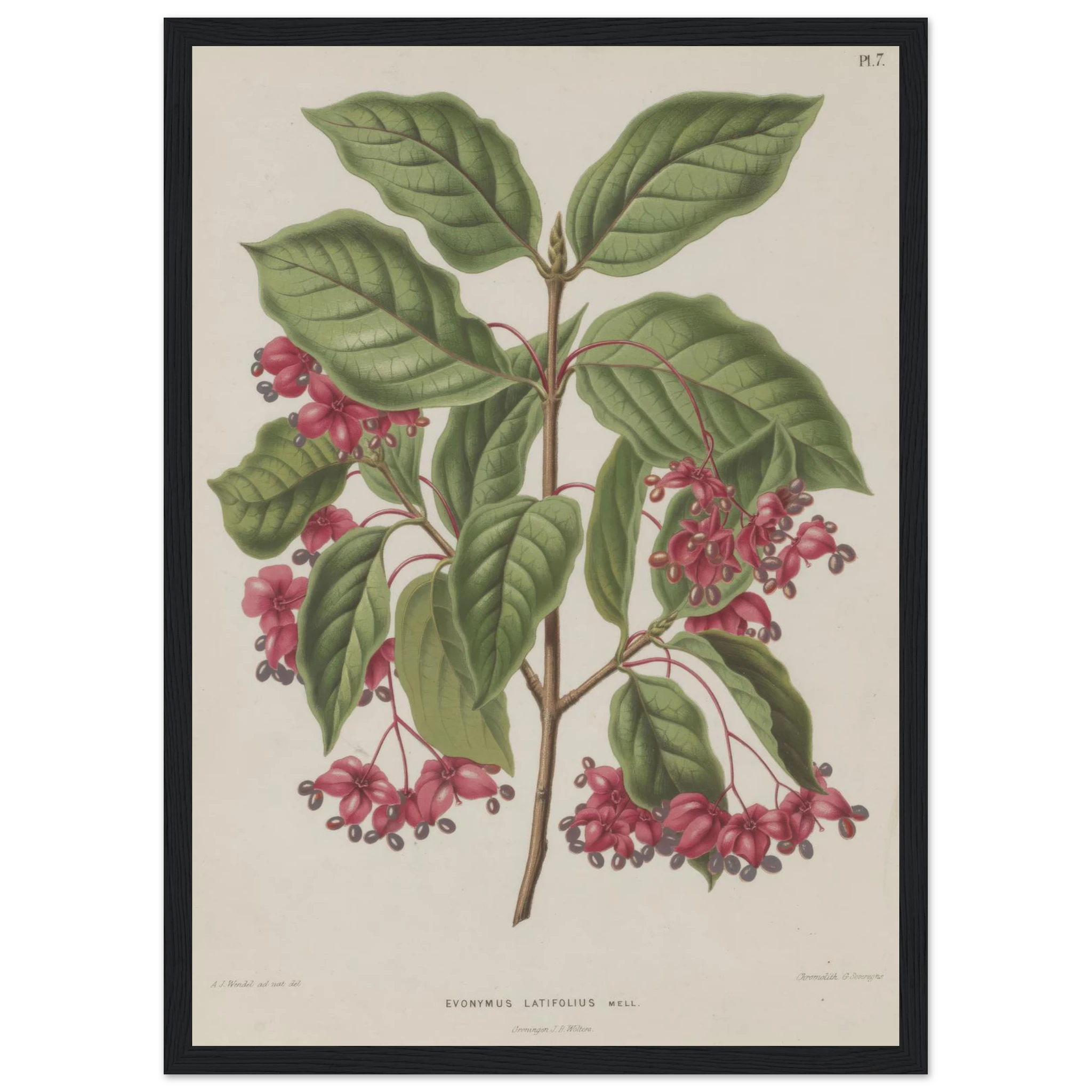 8ae3eefa-6933-456c-885e-bc08f3e9f321