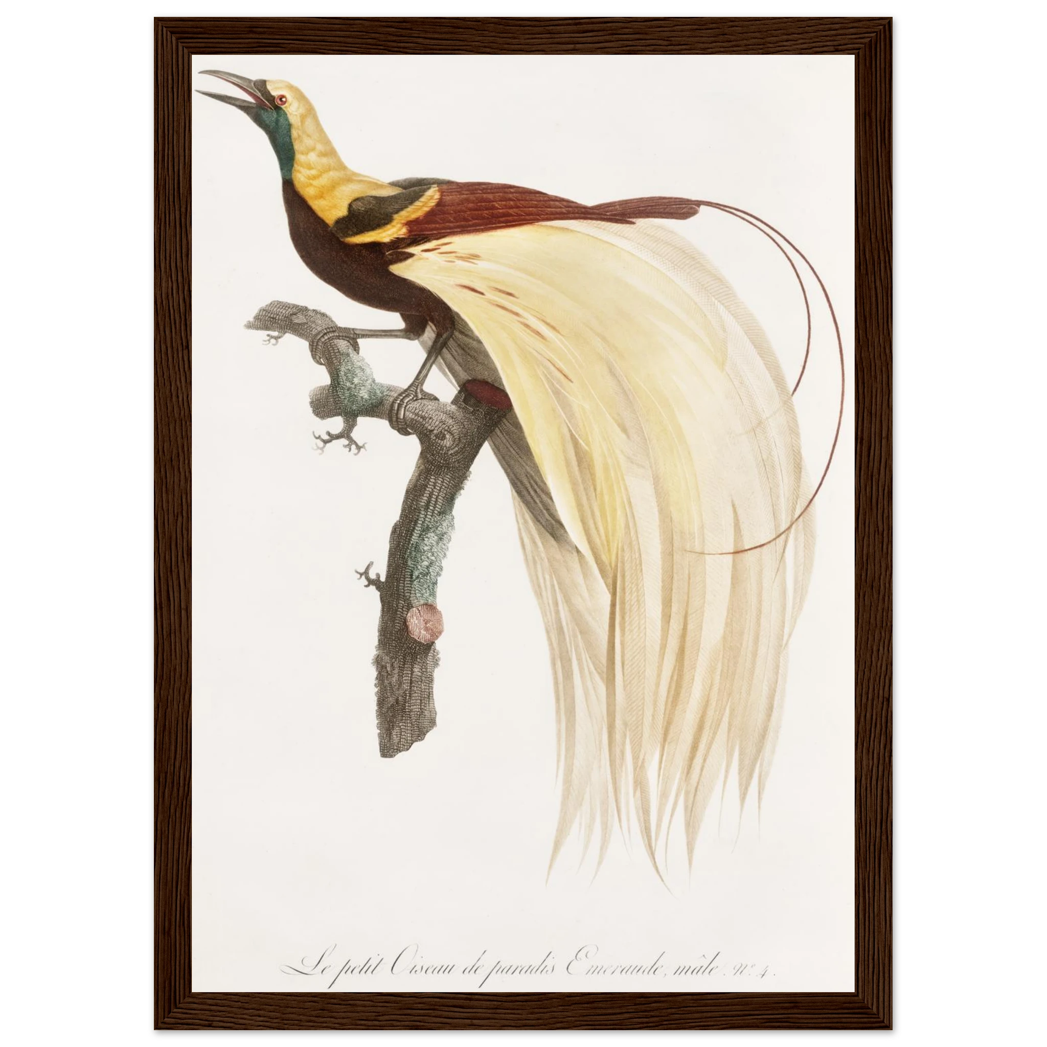 8aed6afe-5d1a-48db-877c-009cfaa5441c