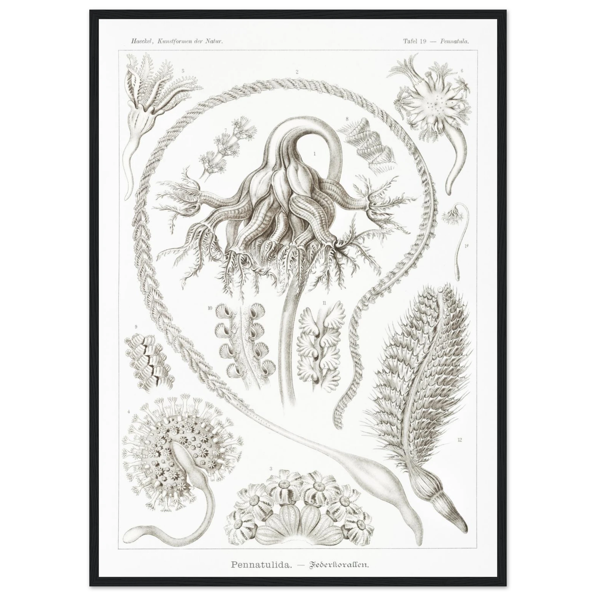 8b456864-99ea-4e64-a3dd-bb3f09d744c3