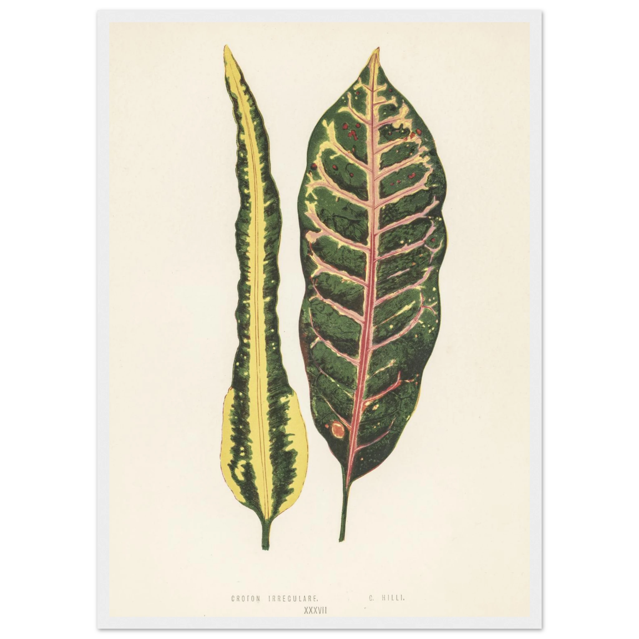 8b6d7ed7-df0f-42a9-99dd-edcec9b4c4b6