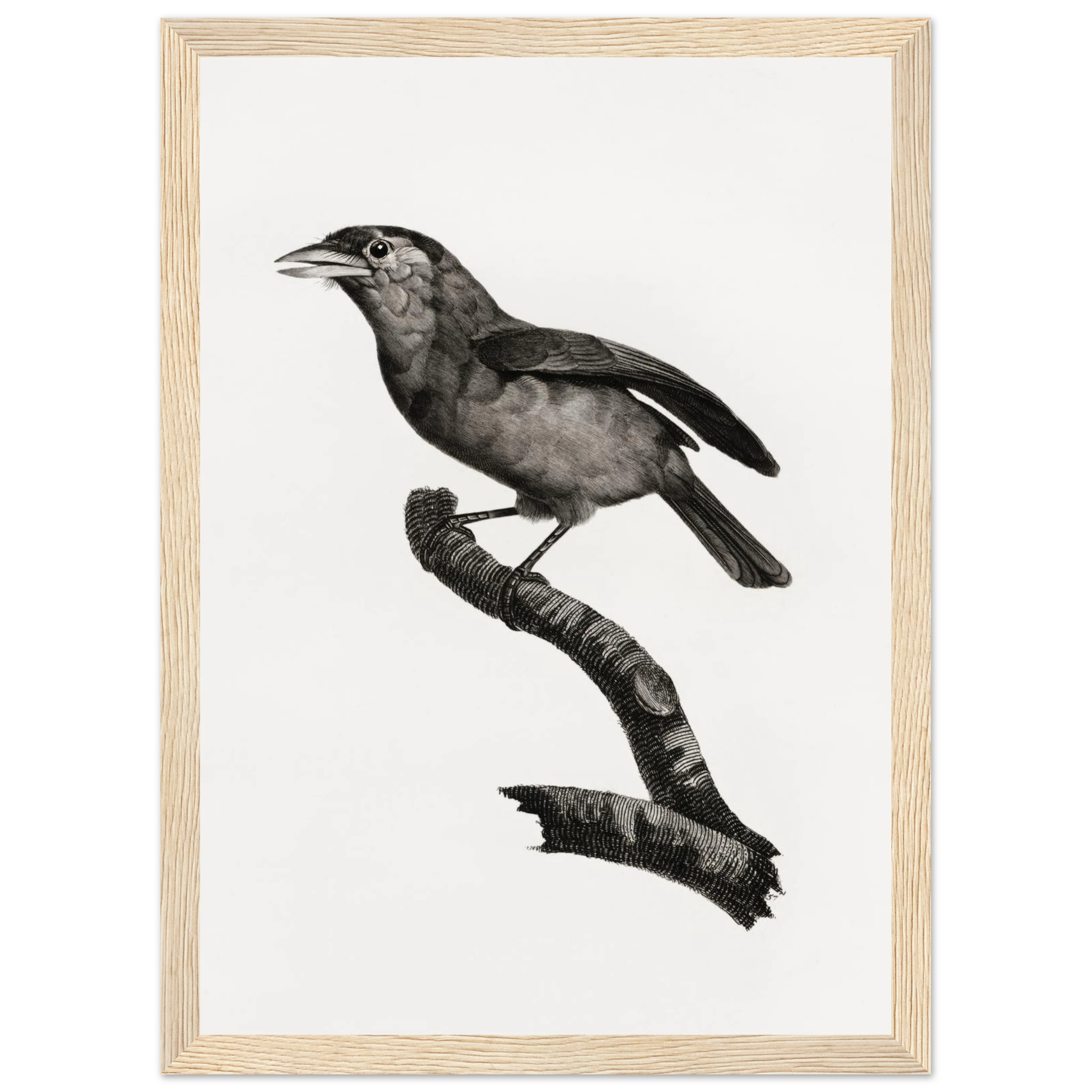 8b97640e-210e-47fb-bf2b-f733d9fb268a