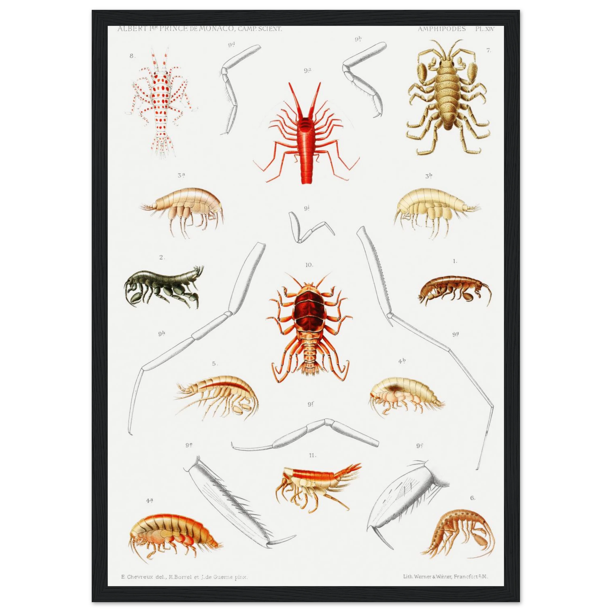 8bcc9f52-3199-443e-921d-e4f401b3b3bb