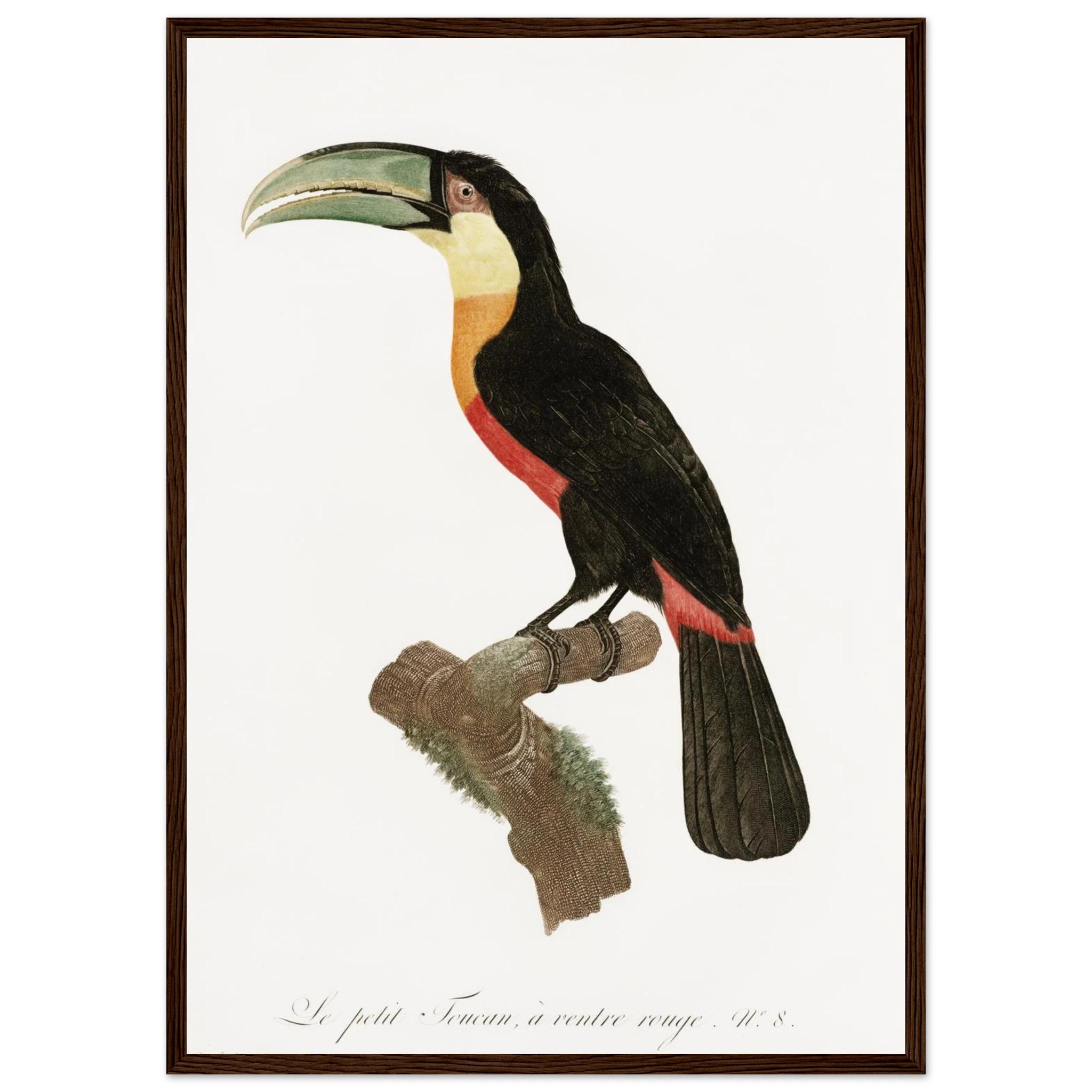 8bd846f6-c9d8-4cb1-8c95-c1bac8e7df8b