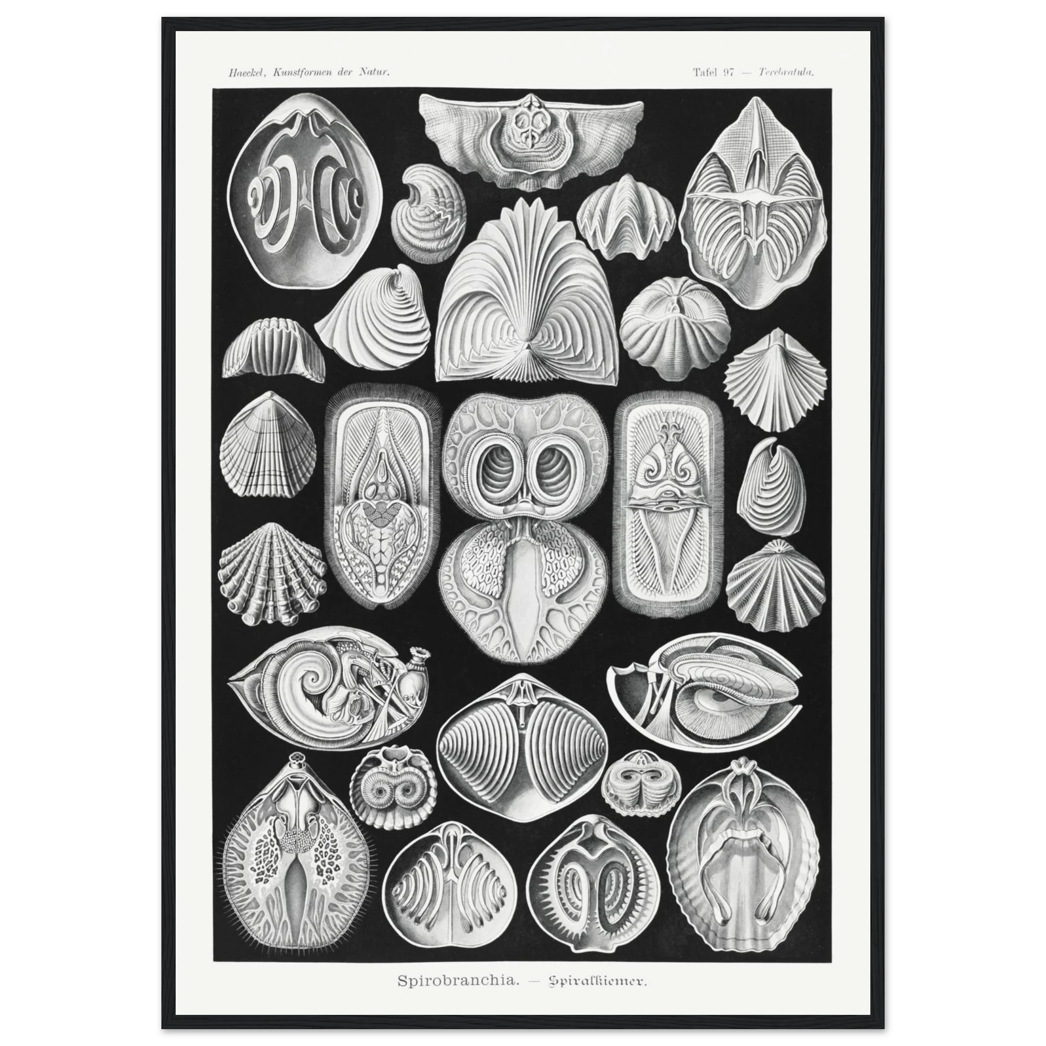 8c13c338-3e17-4db1-a3a1-f38f25c98bbd