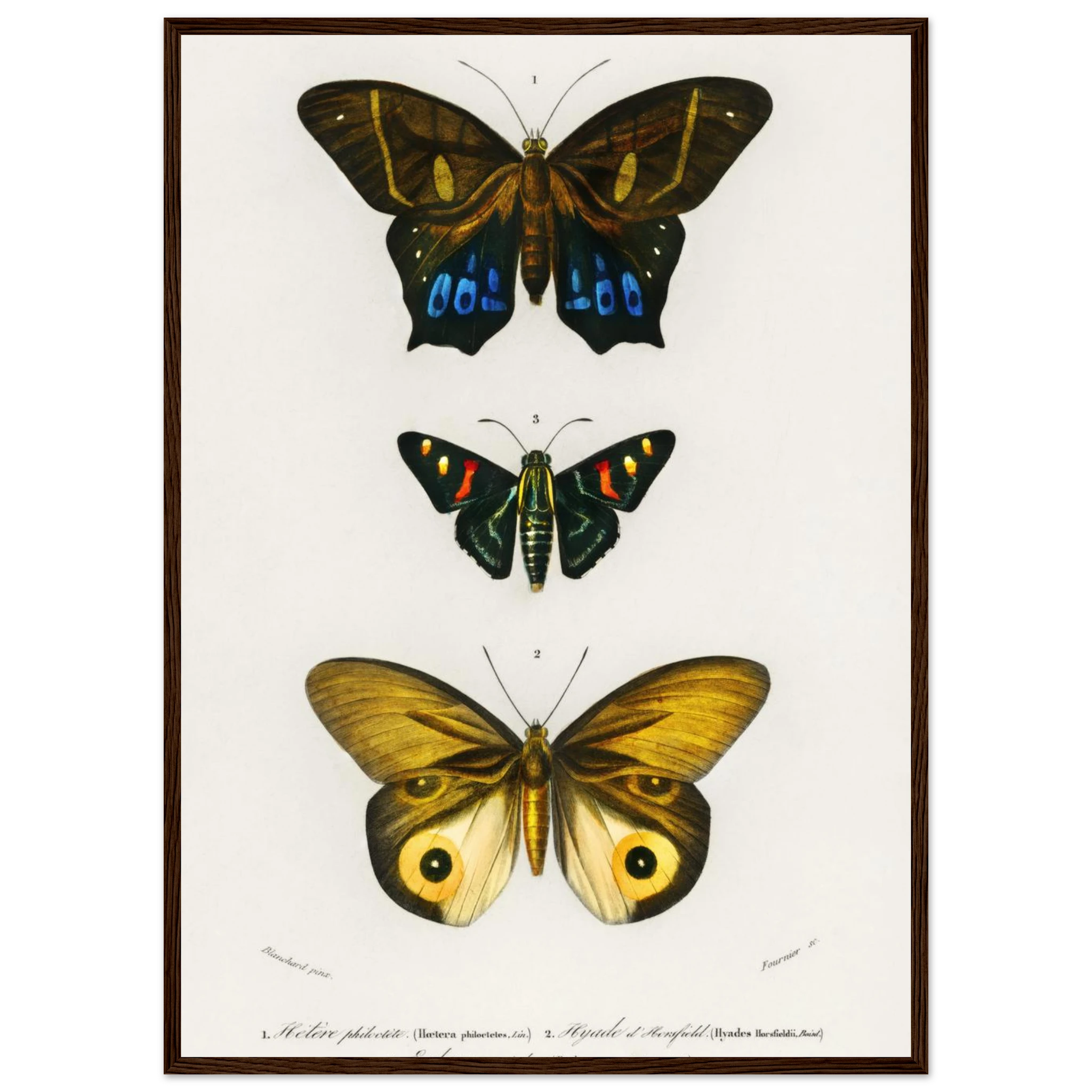 8c35185e-e3ff-4ee2-b708-efc9f40e9822